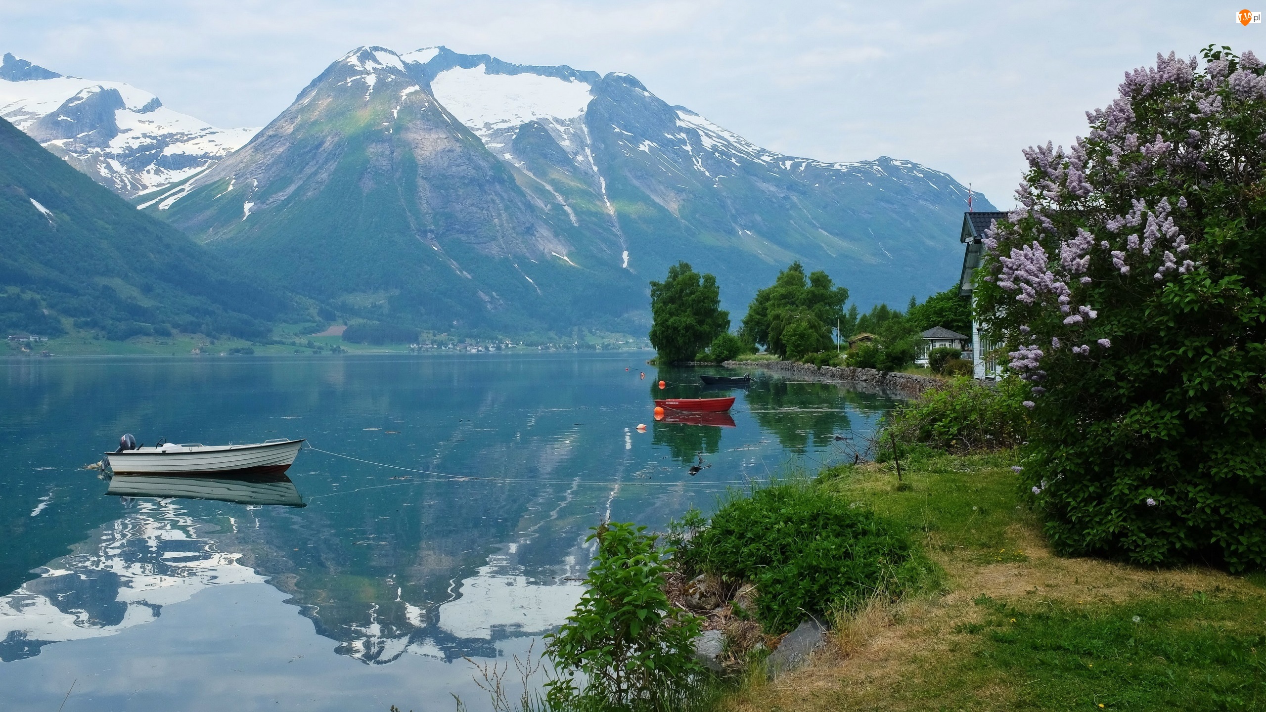 Hjelle, Norwegia, Jezioro Oppstrynsvatnet, Drzewa, Góry, Łodzie