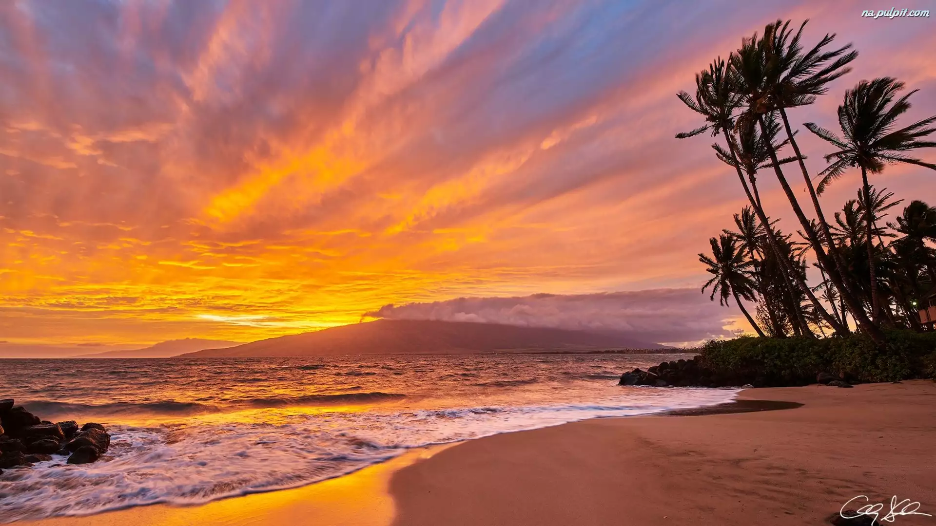 Wyspa Maui, Hawaje, Palmy, Plaża, Morze, Zachód słońca