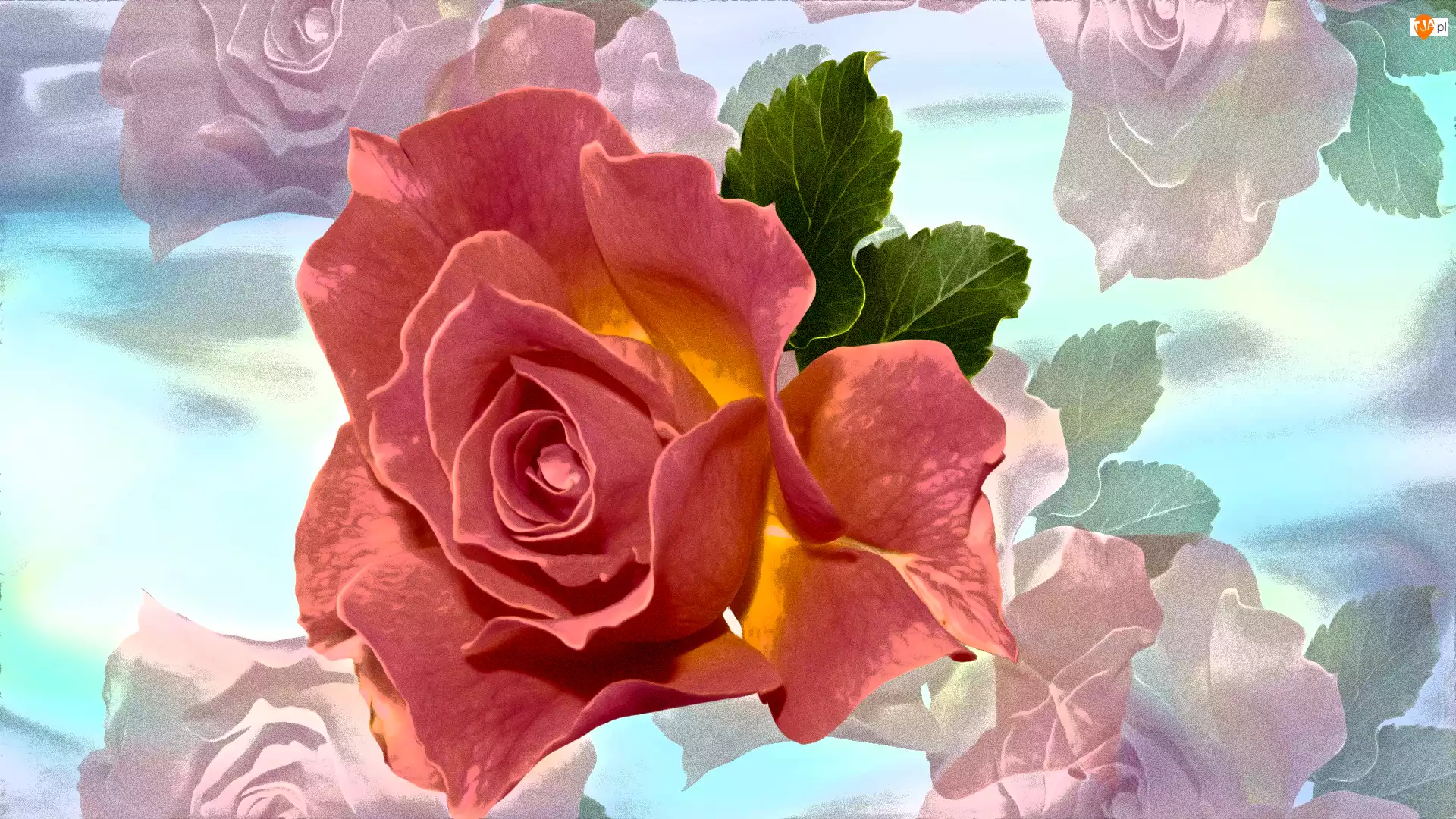 Efekt graficzny, Kwiat, Róża