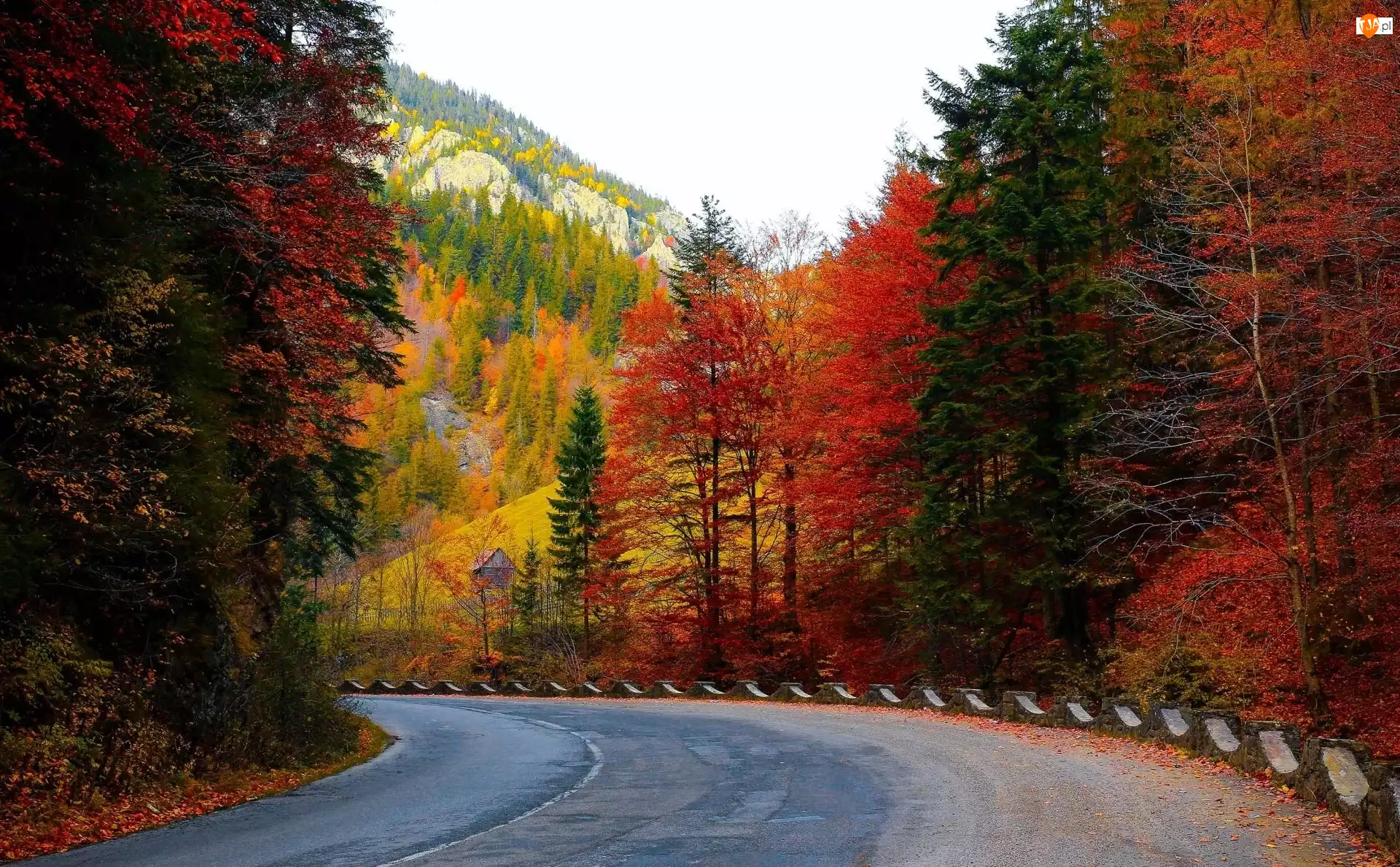 Droga, Jesień, Góry, Drzewa, Zakręt, Las