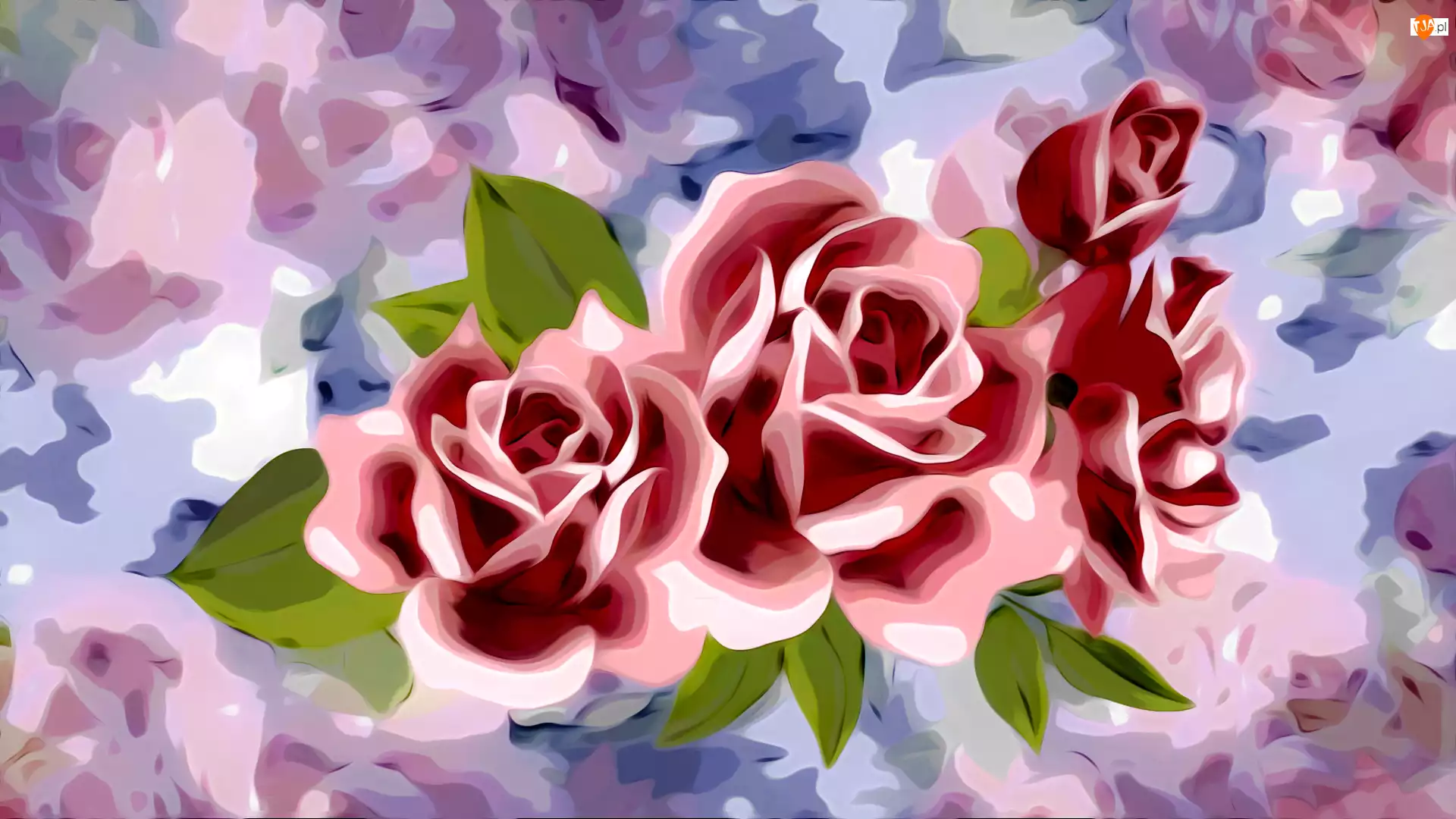Róże, Grafika