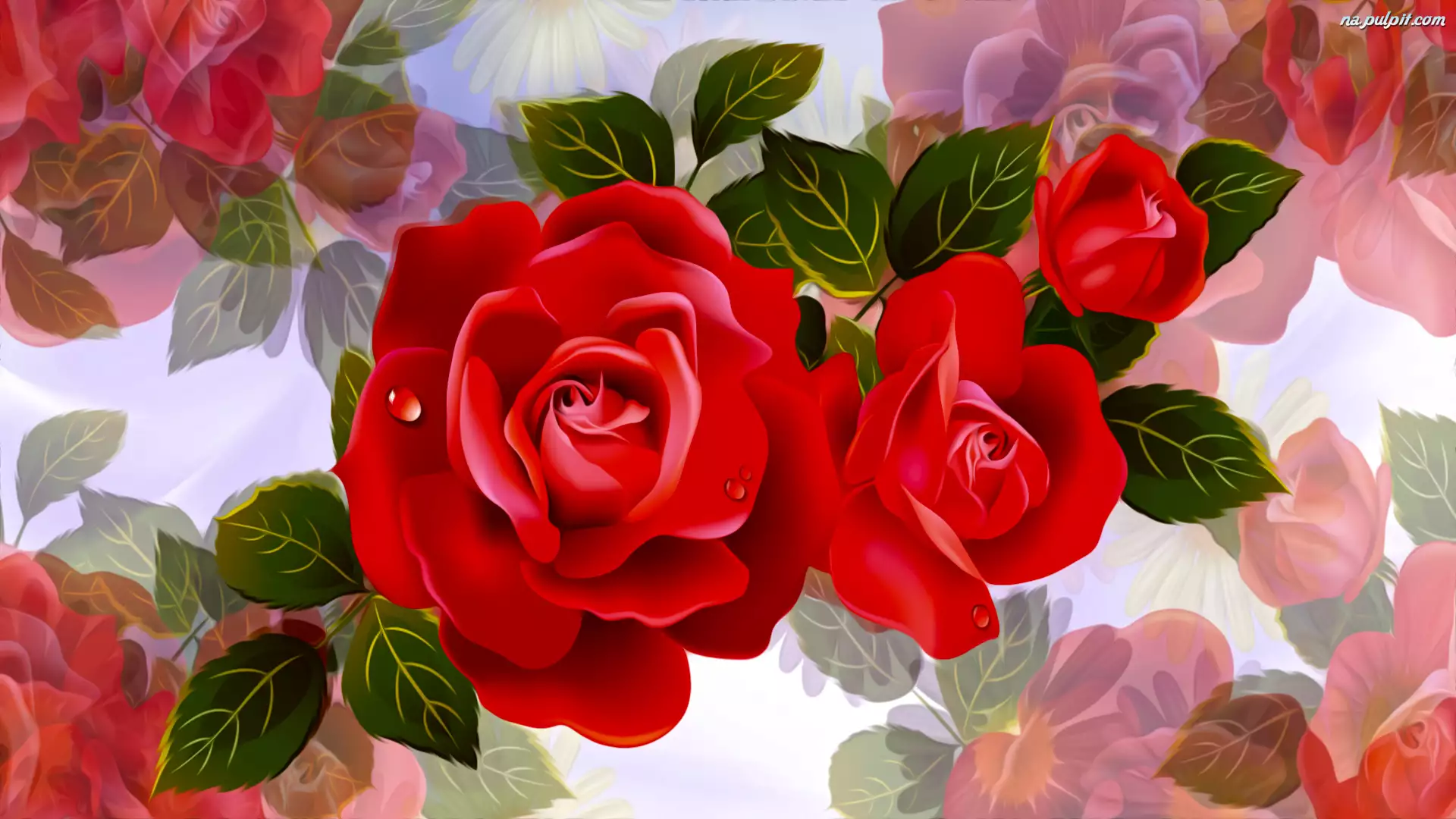 2D, Kwiaty, Czerwone, Róże