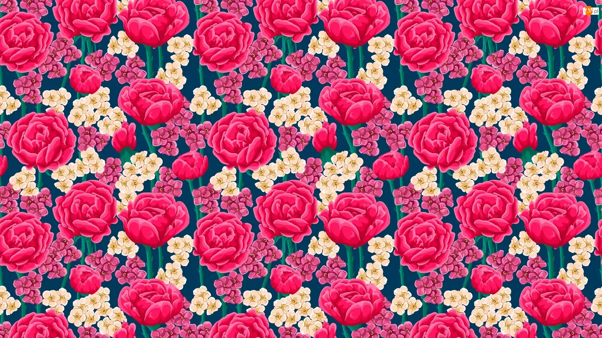 Róże, Tekstura, Kwiaty