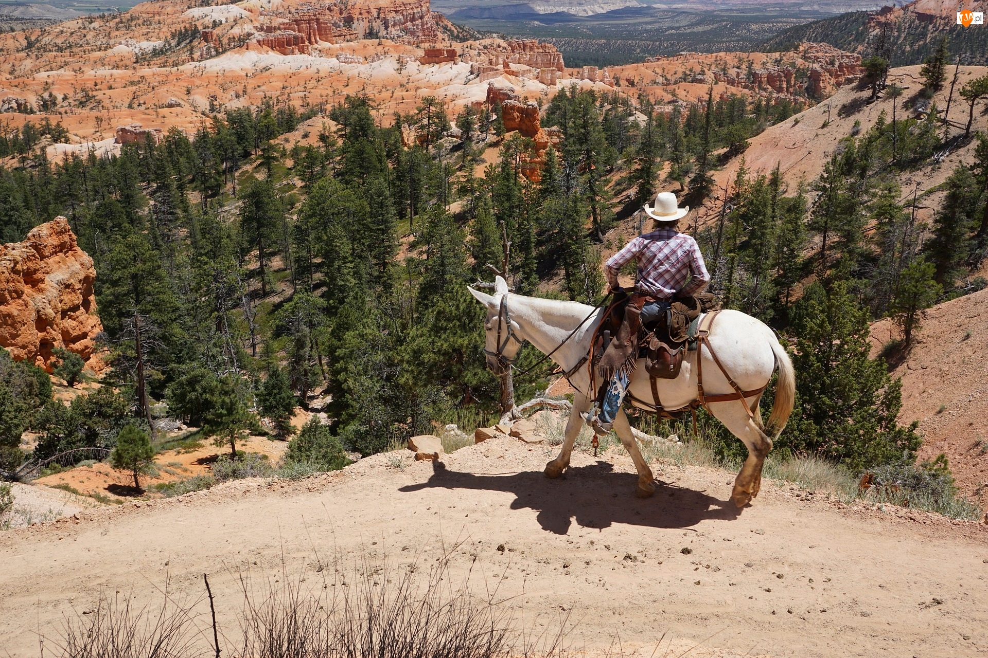 Kowboj, Koń, Park Narodowy Bryce Canyon, Stany Zjednoczone, Kanion, Stan Utah