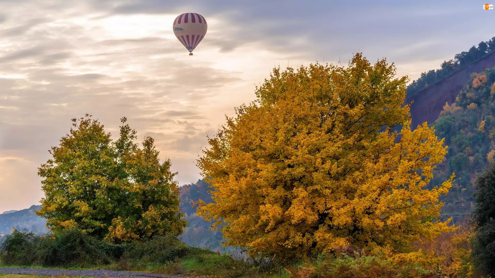 Balon, Drzewa, Jesień
