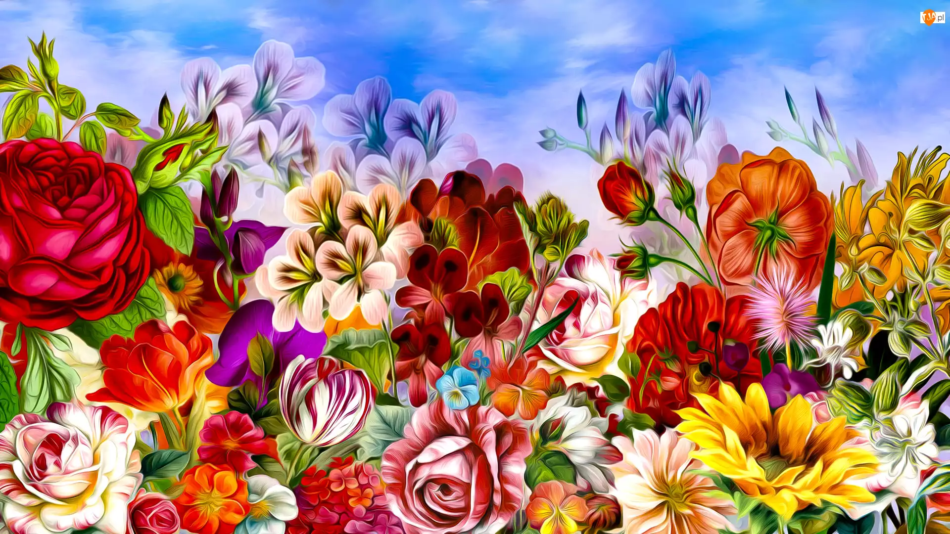 Grafika, Różne, Kolorowe, Kwiaty