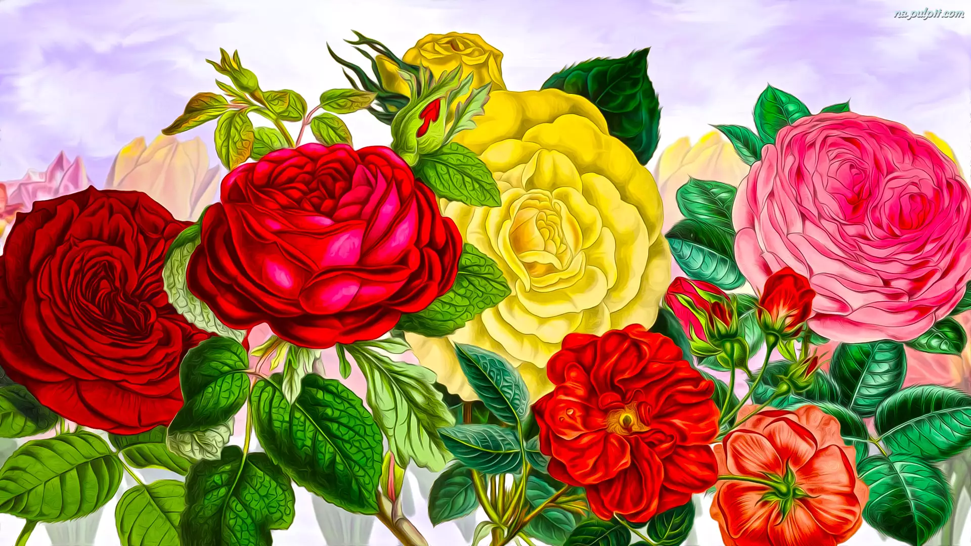 Róże, Grafika, Kwiaty, Kolorowe
