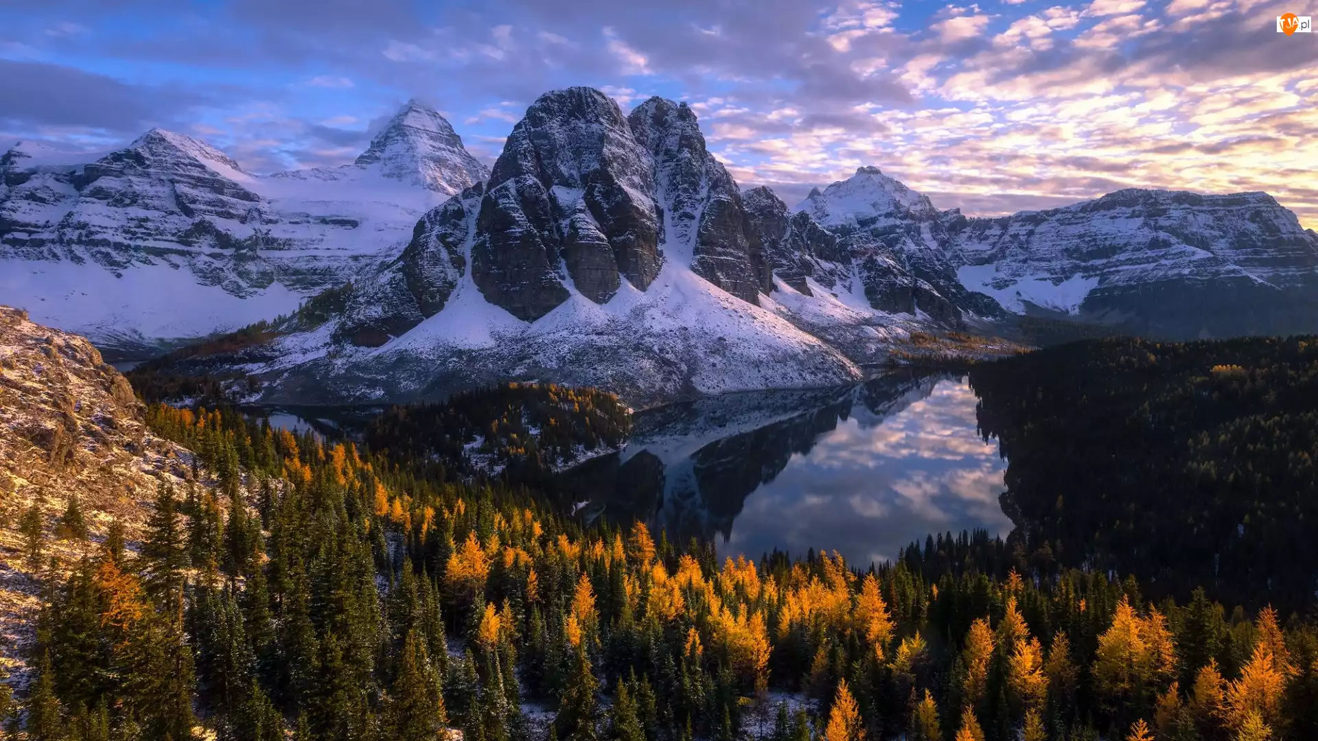 Drzewa, Park Prowincjonalny Mount Assiniboine, Góra Mount Assiniboine, Kolumbia Brytyjska, Ośnieżone, Jezioro Sunburst Lake, Kanada, Góry