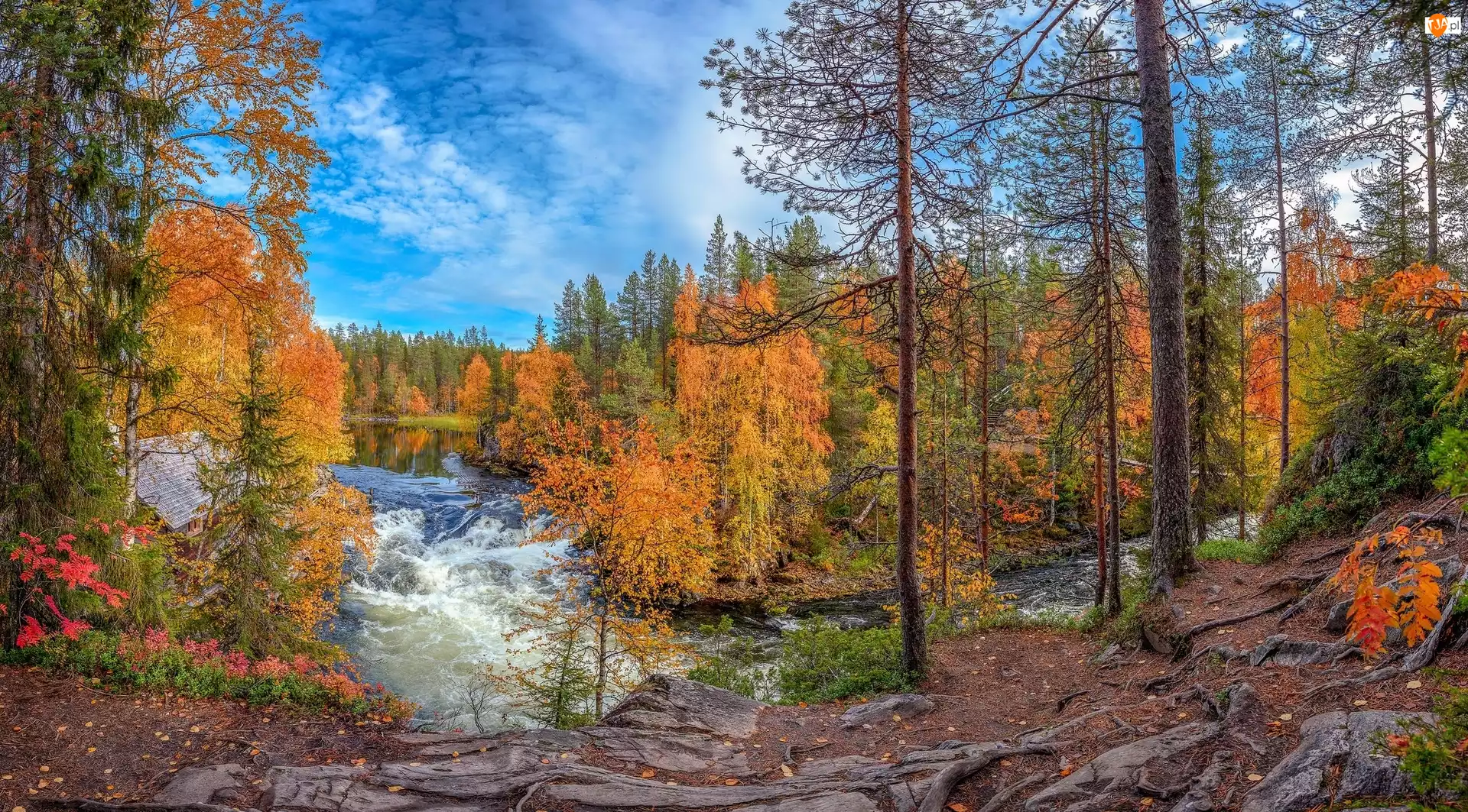 Rzeka Kitkajoki, Jesień, Park Narodowy Oulanka, Finlandia, Drzewa, Laponia