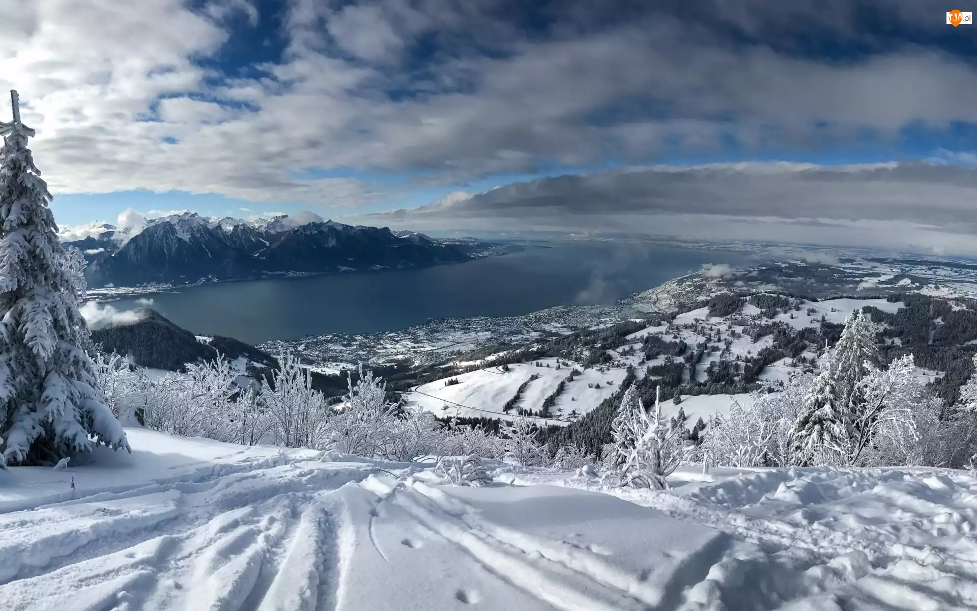 Śnieg, Drzewa, Szwajcaria, Zima, Montreux, Jezioro Genewskie, Góry Alpy