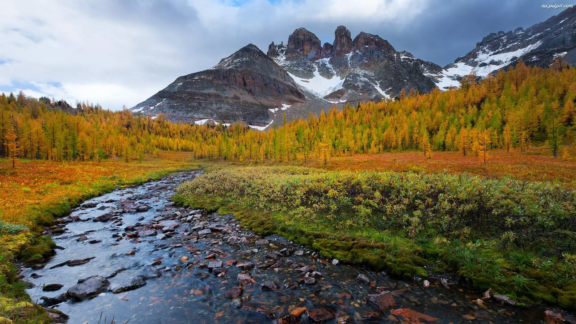 Potok, Góry, Drzewa, Jesień, Rzeczka