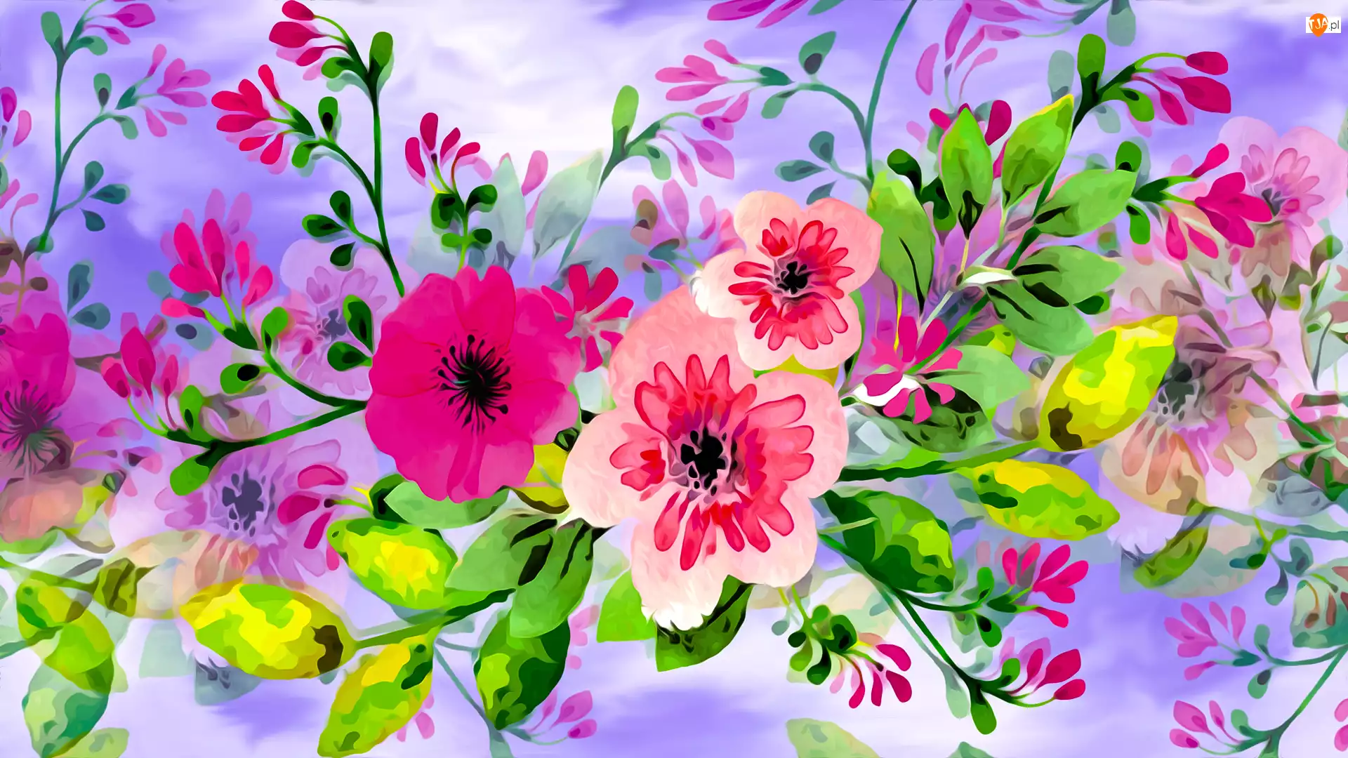 Grafika 2D, Kwiaty, Kolorowa