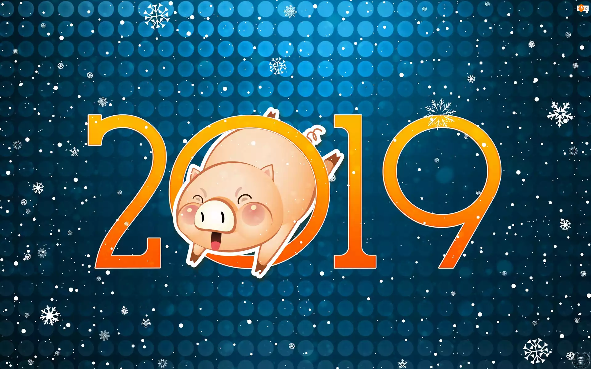 Świnka, Nowy Rok, 2019