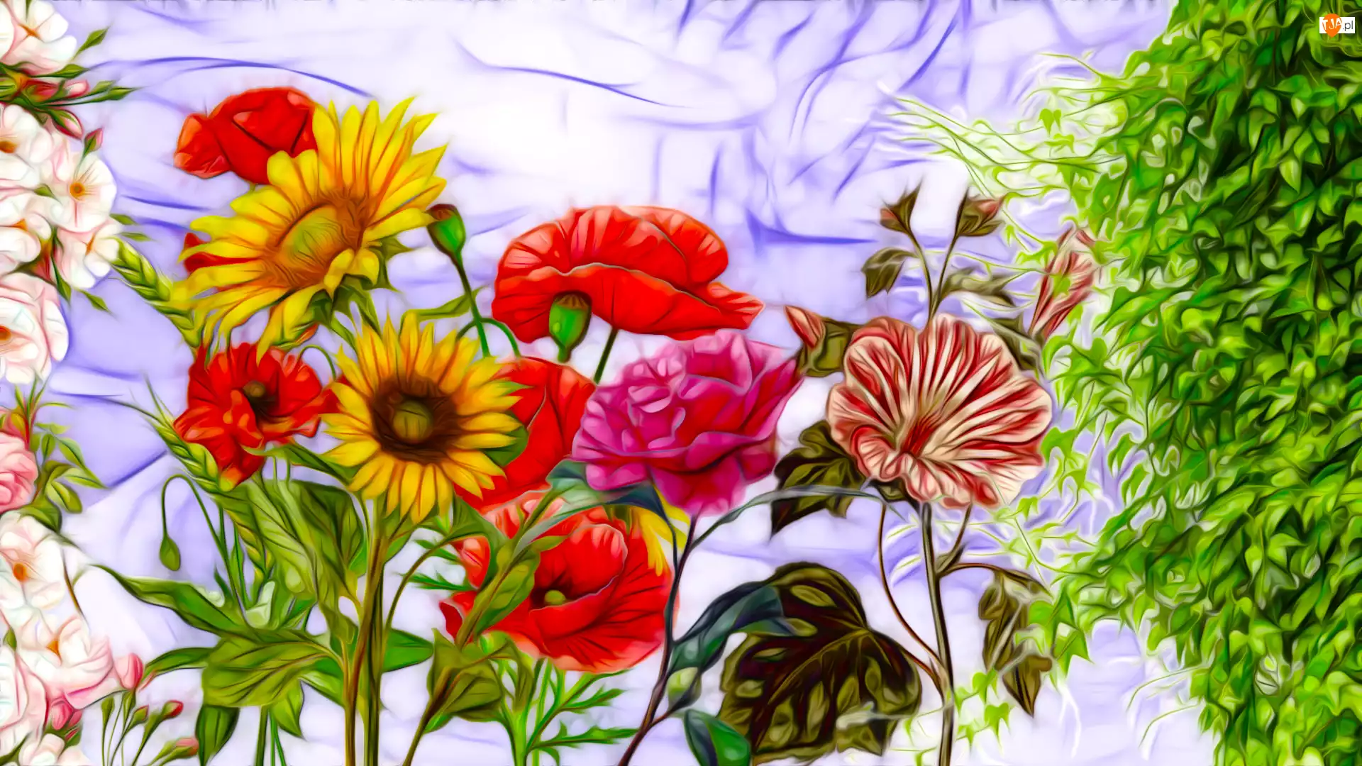 Liście, Fractalius, Kolorowe, Kwiaty