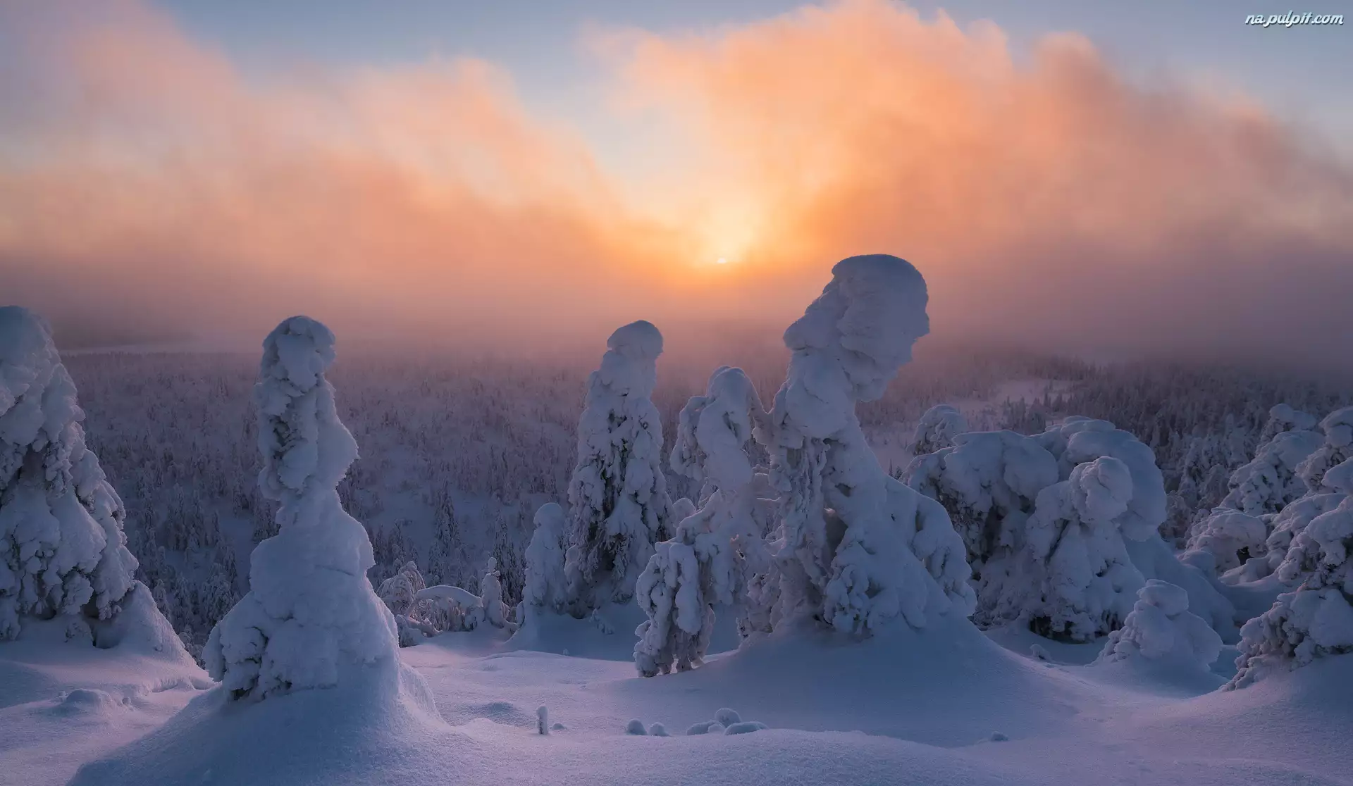 Rezerwat przyrody Valtavaara, Zima, Mgła, Laponia, Zaśnieżone, Wschód słońca, Finlandia, Drzewa