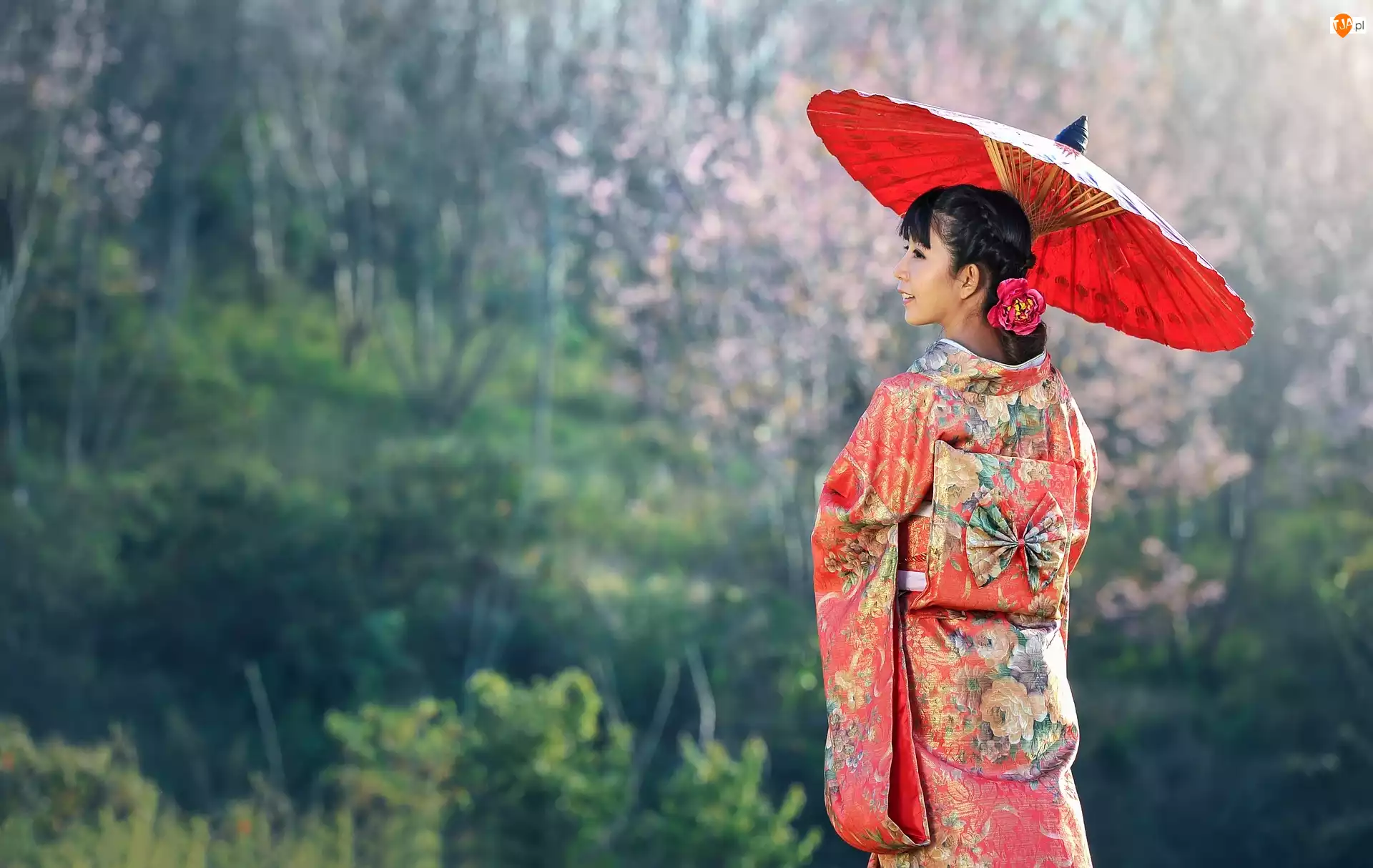Kimono, Parasolka, Azjatka, Kobieta, Czerwona