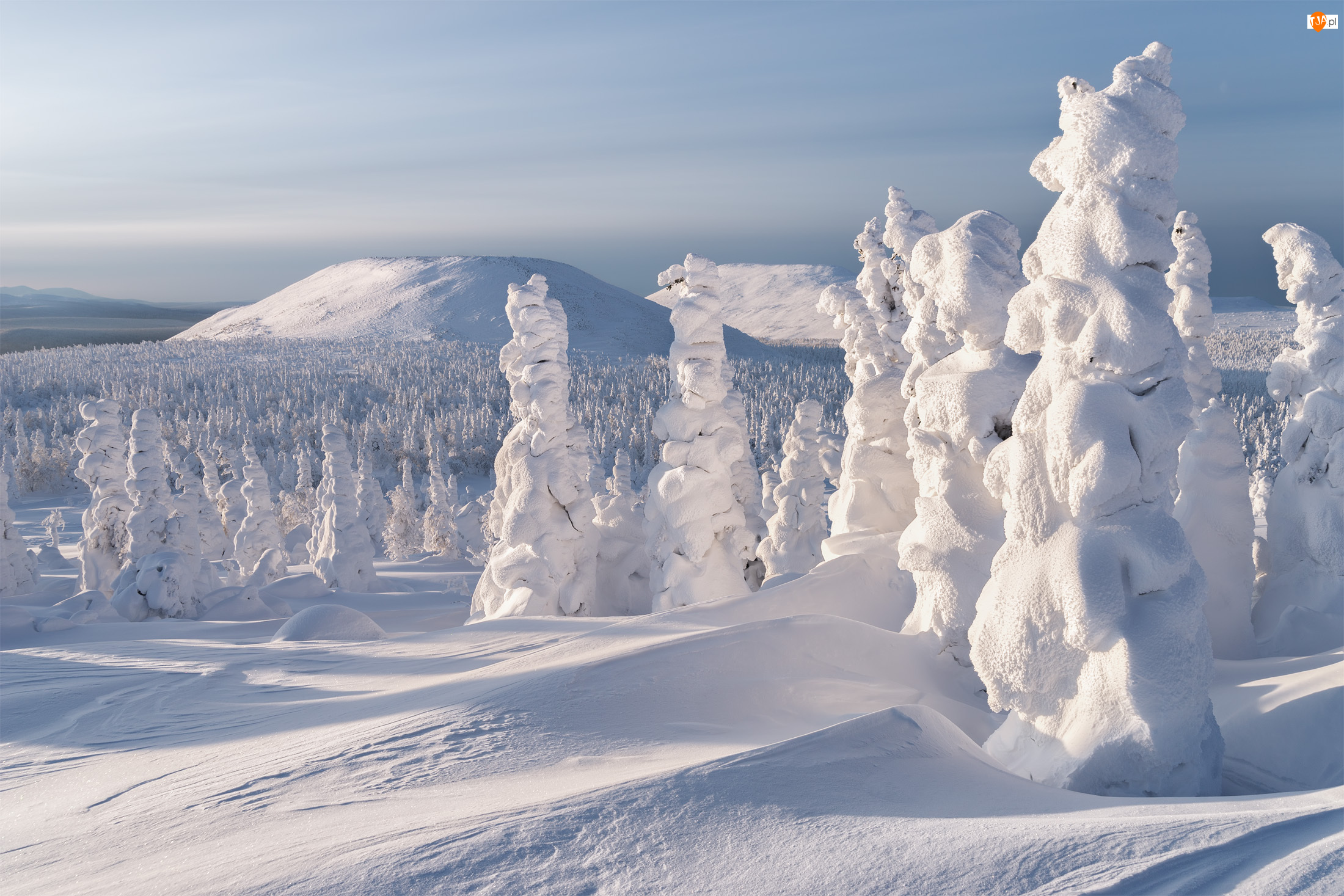 Снежка россия