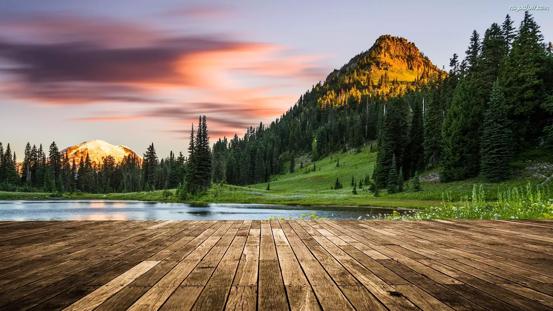 Jezioro Tipsoo, Las, Stany Zjednoczone, Park Narodowy Mount Rainier, Stan Waszyngton, Góry, Drzewa