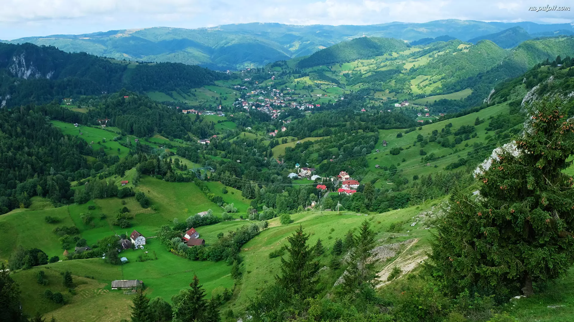 Góry Bucegi, Góry Piatra Craiului, Rumunia, Domy, Transylwania, Dolina, Drzewa