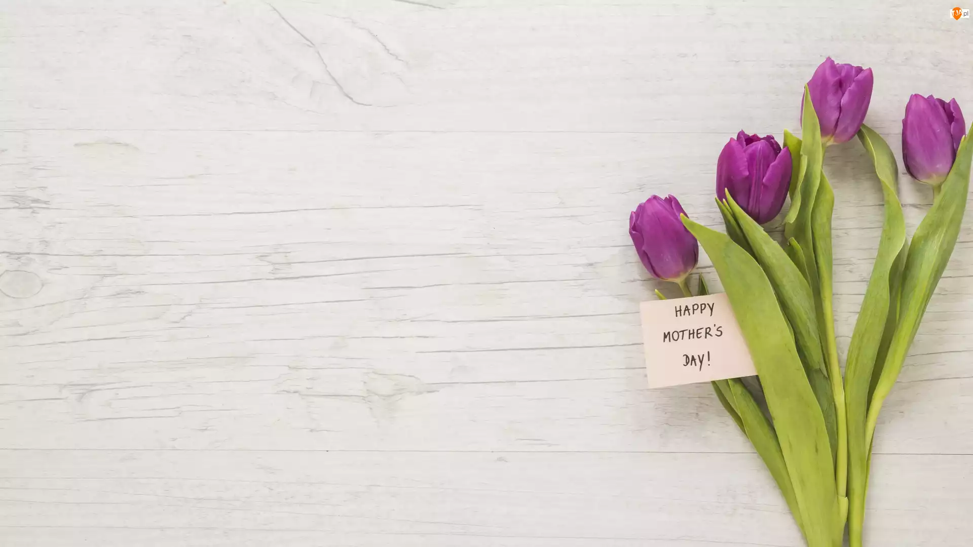 Dzień Matki, Tulipany, Karteczka, Napis