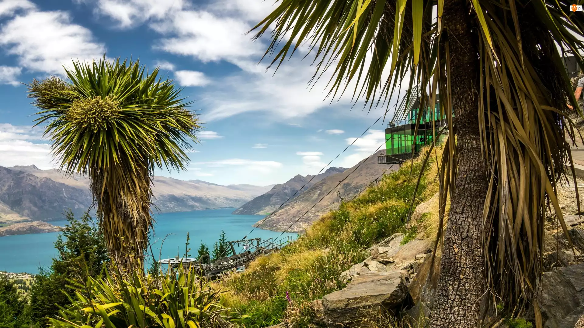 Punkt widokowy, Nowa Zelandia, Drzewa, Jezioro Wakatipu, Queenstown