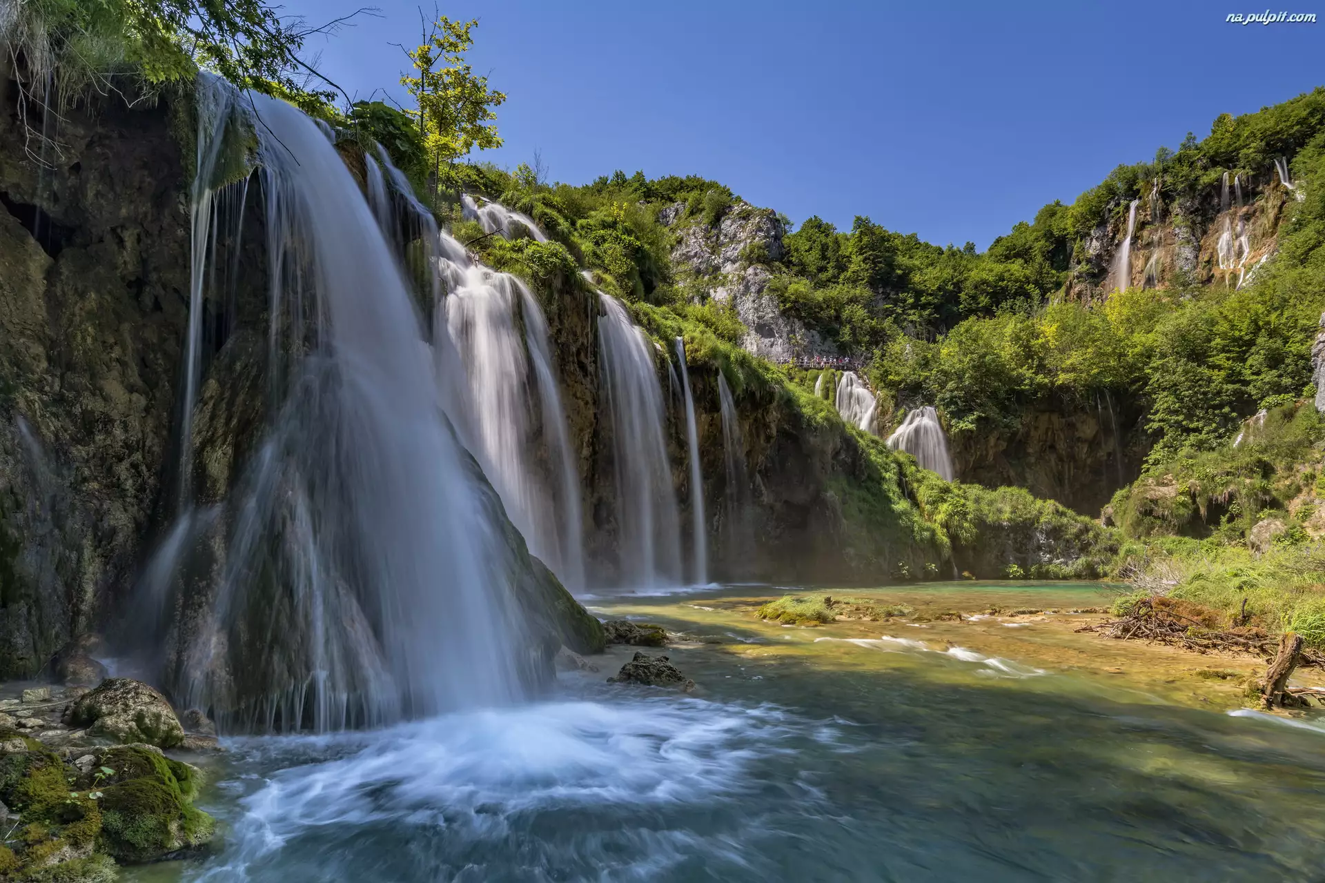 Drzewa, Park Narodowy Jezior Plitwickich, Wodospady, Chorwacja, Roślinność