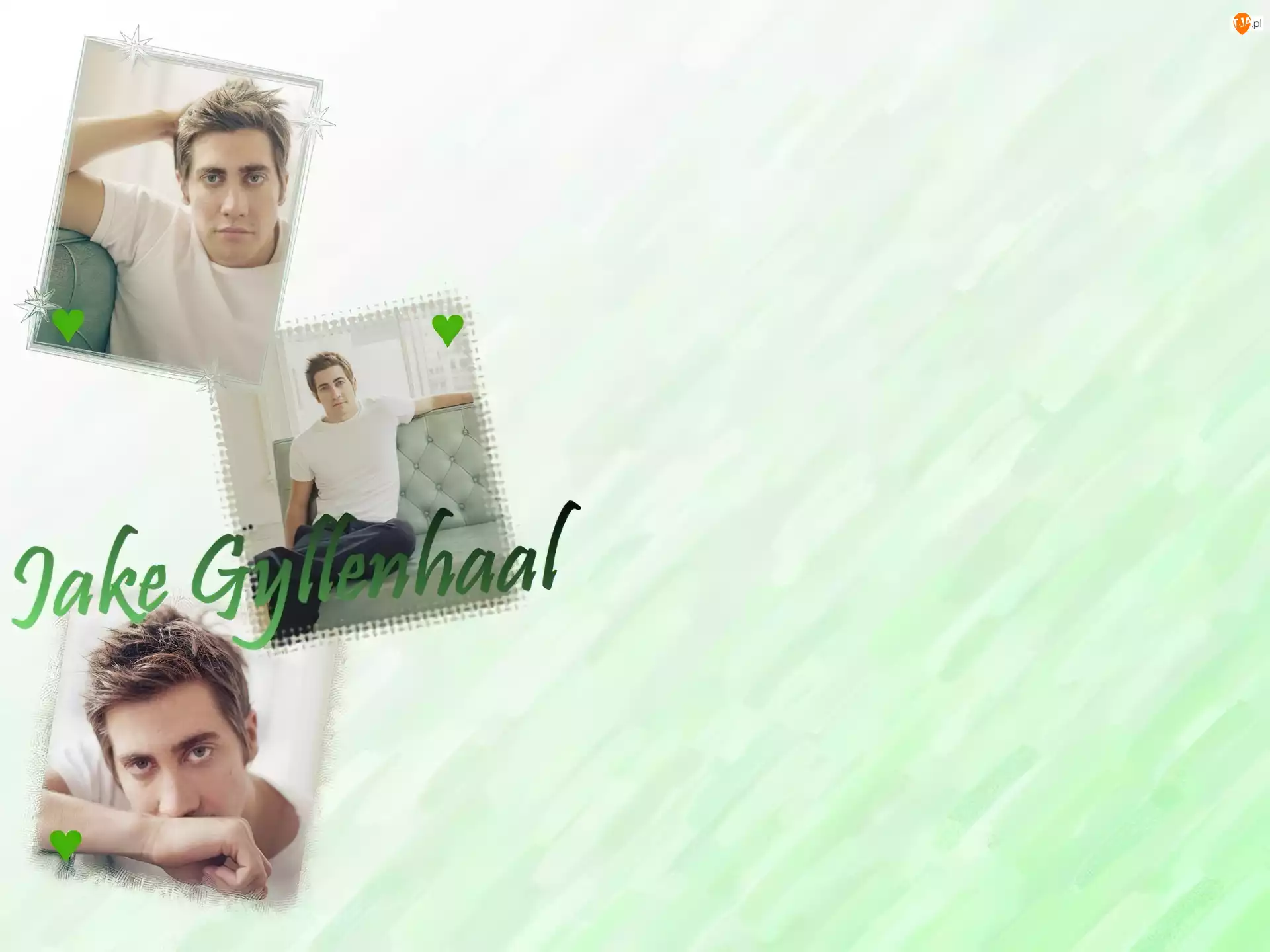 serca, Jake Gyllenhaal, biała koszulka