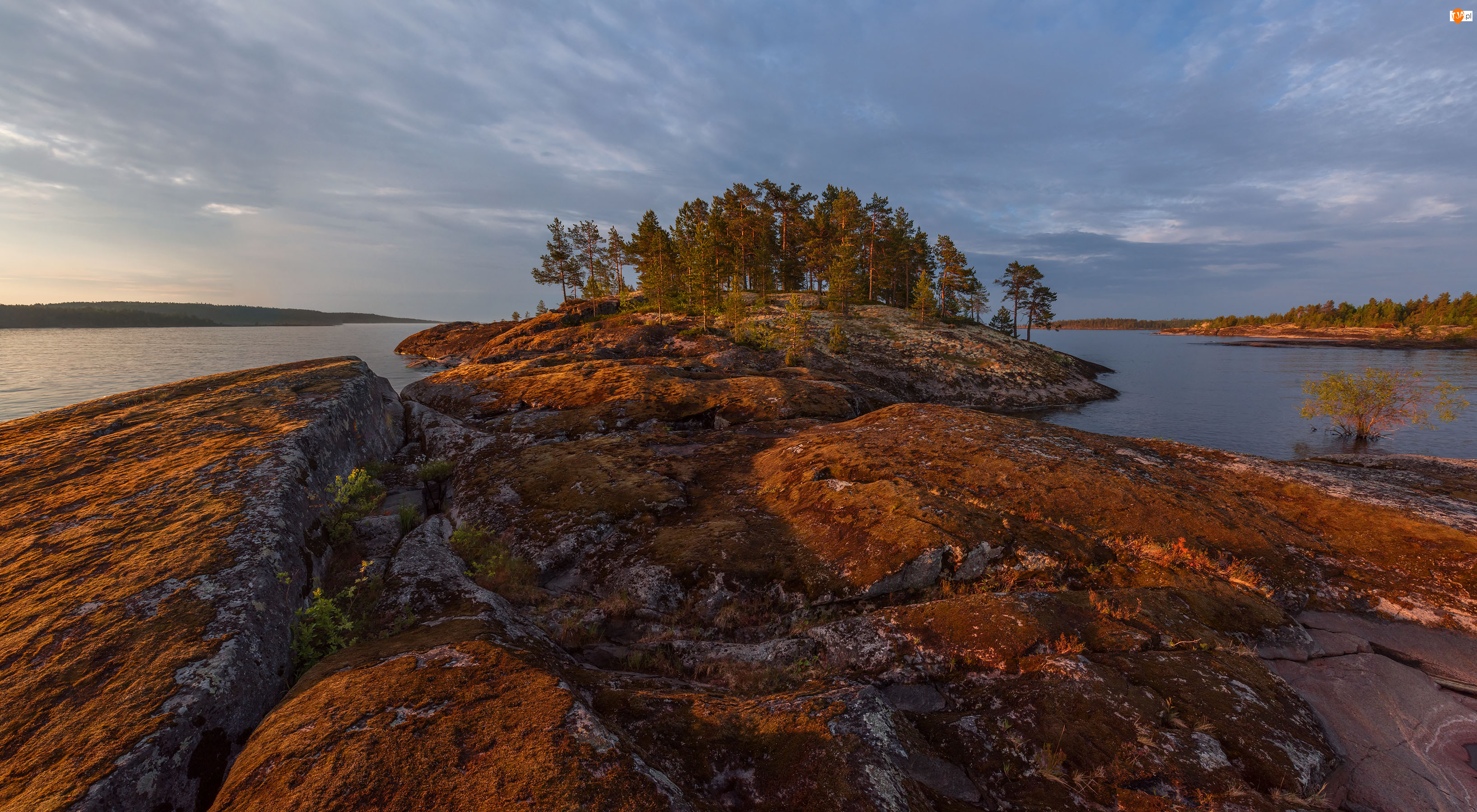 Karelia, Jezioro Ładoga, Drzewa, Wschód słońca, Rosja, Skały