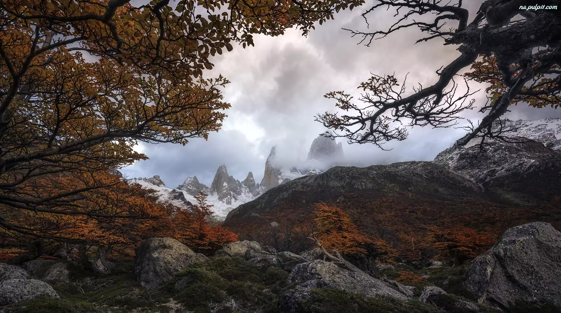 Kamienie, Jesień, Drzewa, Patagonia, Góry Andy, Gałęzie, Argentyna, Park Narodowy Los Glaciares