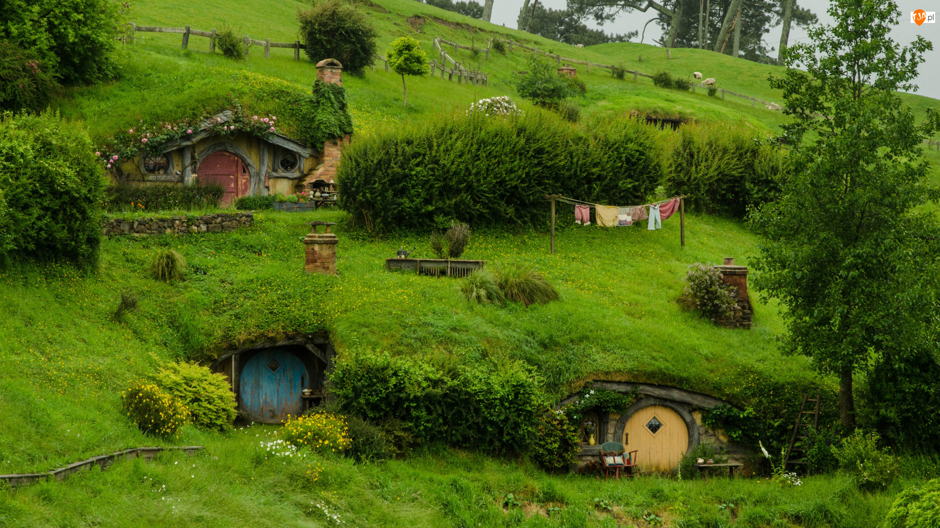 Atrakcja turystyczna, Wzgórze, Nowa Zelandia, Plan filmowy Hobbiton, Miejscowość Matamata, Hobbit, Domy