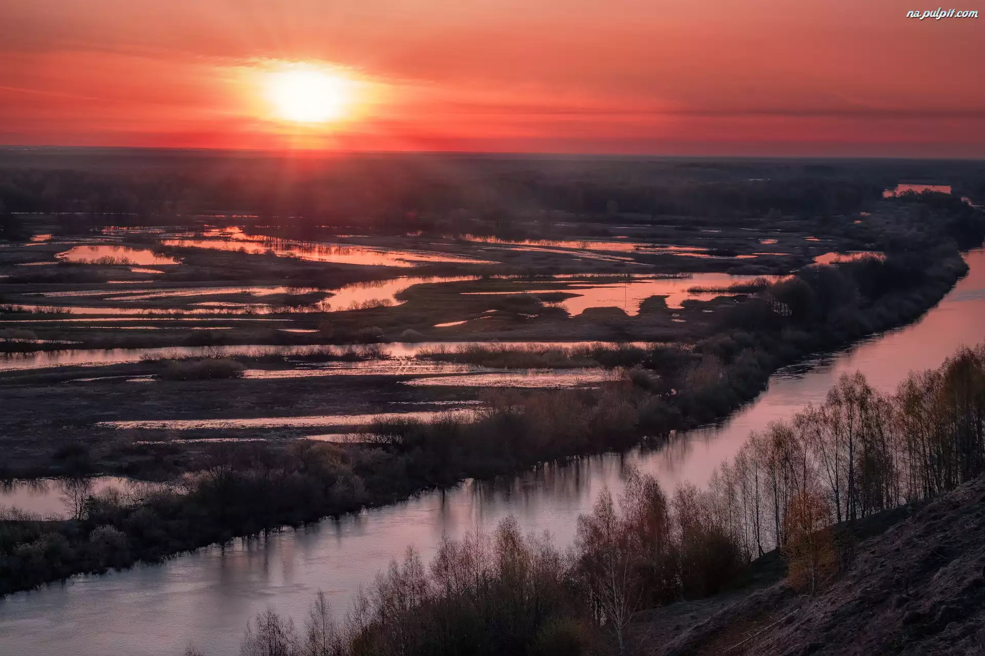 Drzewa, Rosja, Rzeka Klaźma, Wschód słońca, Obwód moskiewski