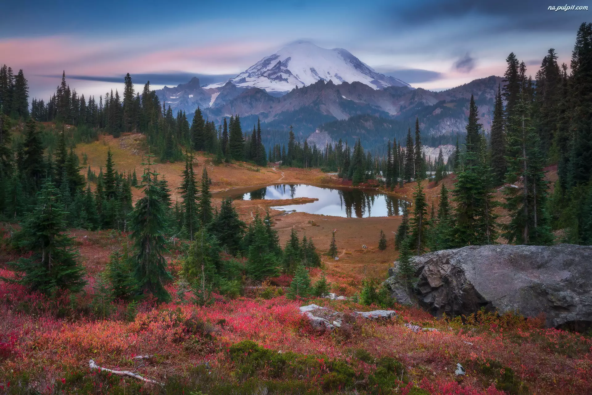 Góry, Stratowulkan Mount Rainier, Stany Zjednoczone, Park Narodowy Mount Rainier, Stan Waszyngton, Jezioro Tipsoo, Drzewa