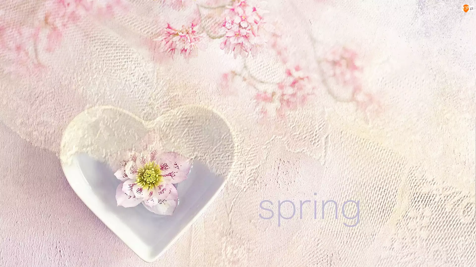 Kwiaty, Spring, Różowe, Serce, Napis
