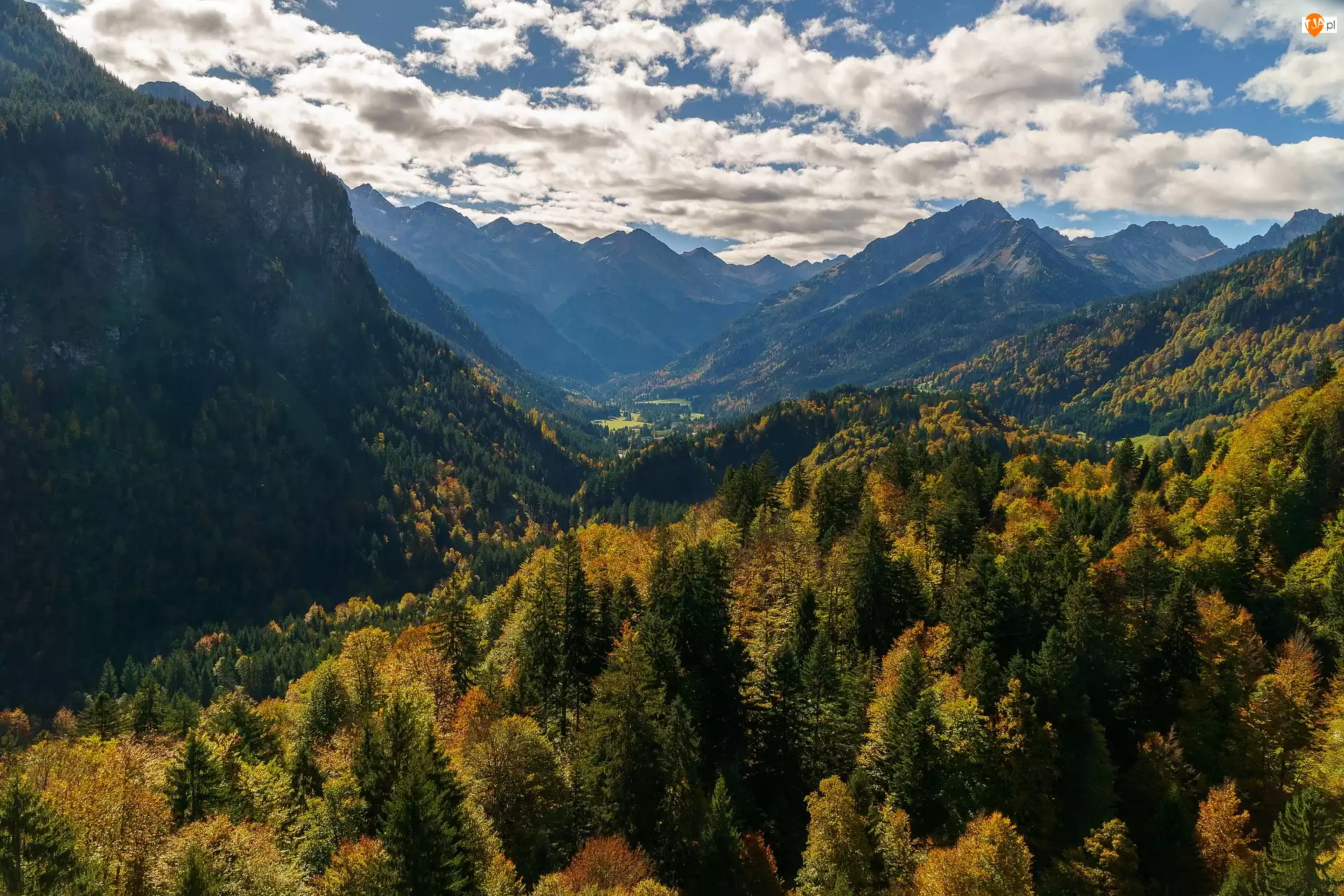 Dolina, Oberstdorf, Lasy, Bawaria, Góry, Drzewa, Niemcy, Alpy Algawskie