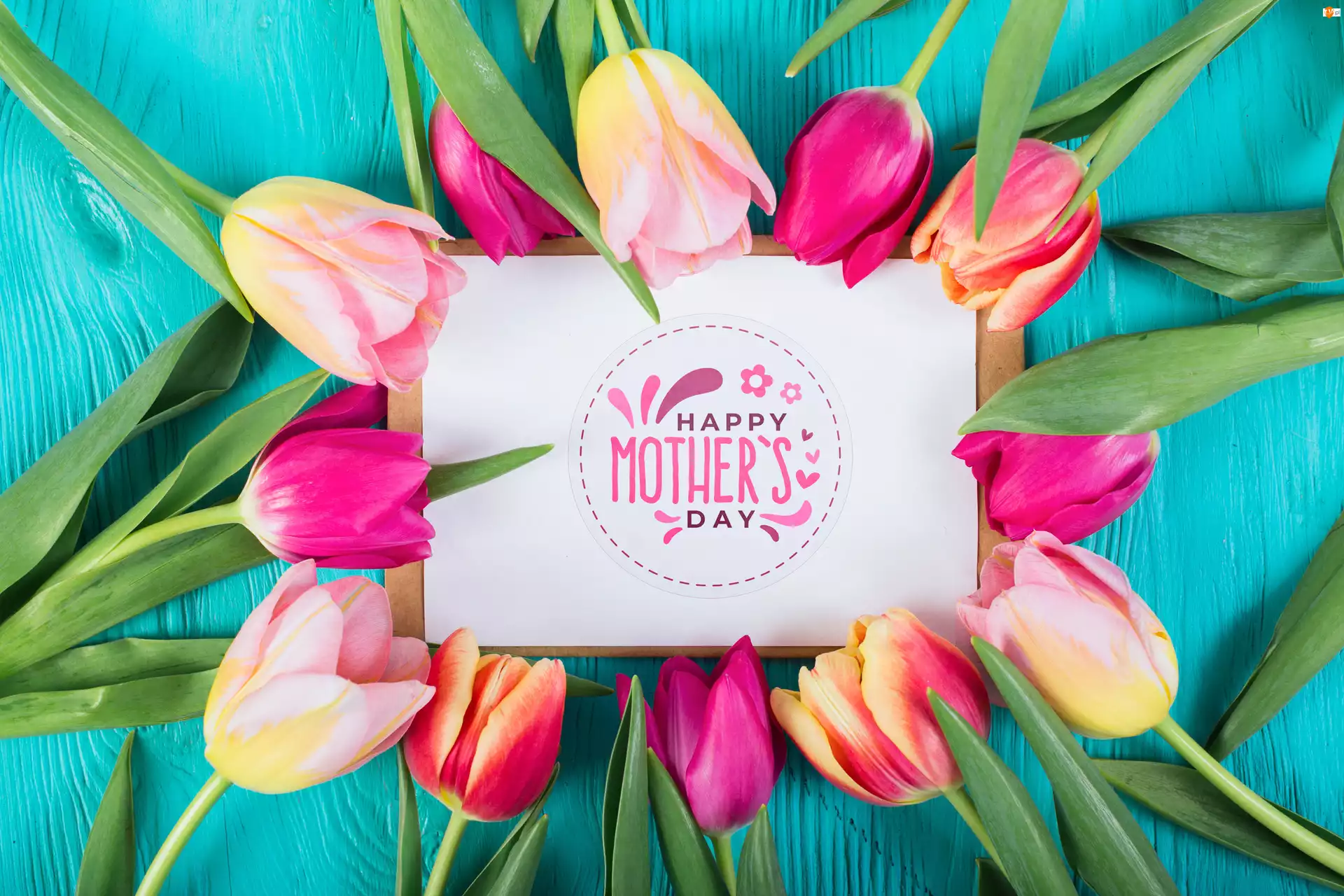 Dzień Matki, Kwiaty, Tulipany