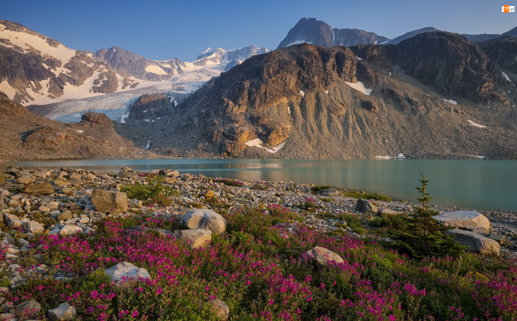 Park prowincjonalny Garibaldi, Góry, Kamienie, Kolumbia Brytyjska, Jezioro Wedgemount, Śnieg, Kanada, Kwiaty