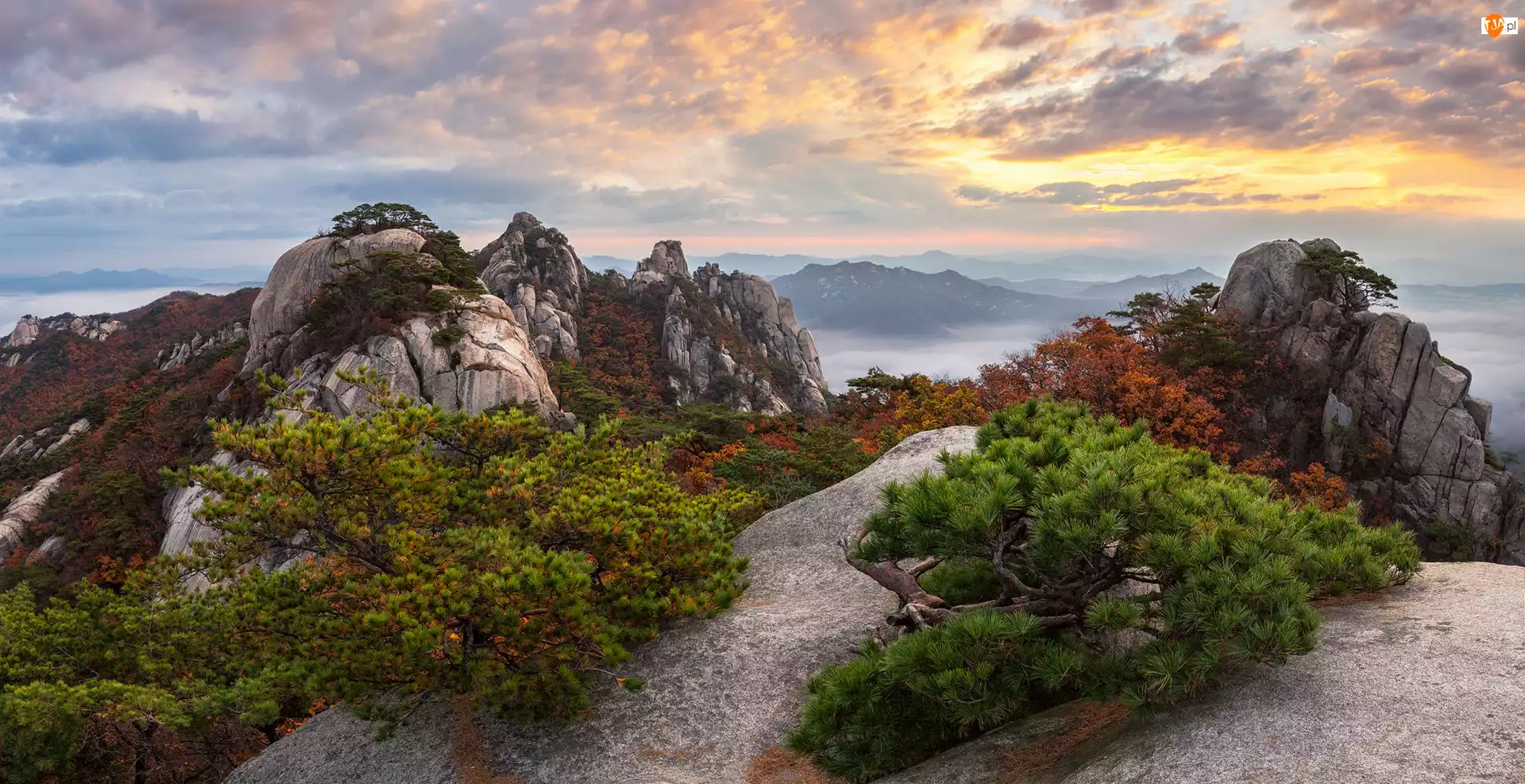 Korea Południowa, Drzewa, Prowincja Gyeonggi-do, Góra Dobongsan, Park Narodowy Bukhansan, Chmury, Skały, Góry, Wschód słońca
