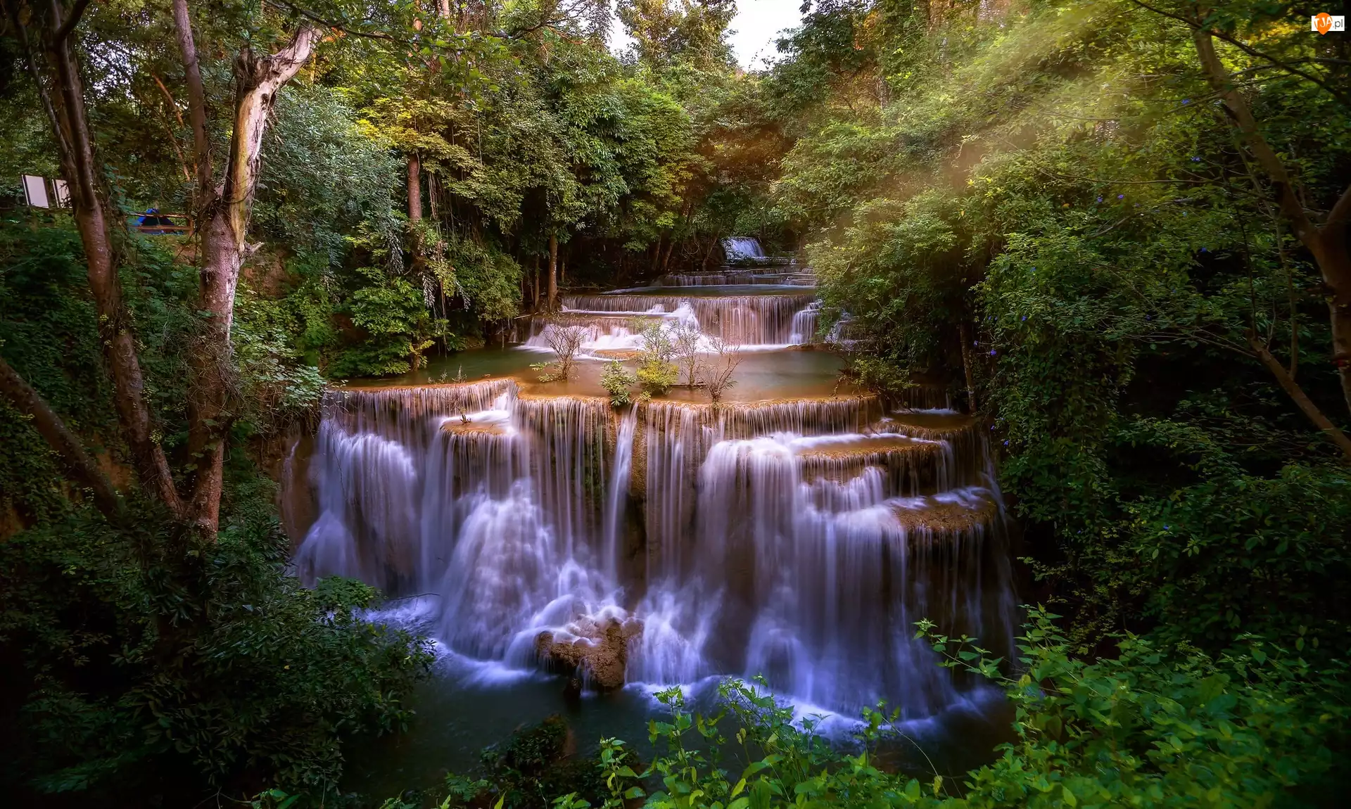 Drzewa, Tajlandia, Kaskada, Wodospad Erawan, Park Narodowy Erawan