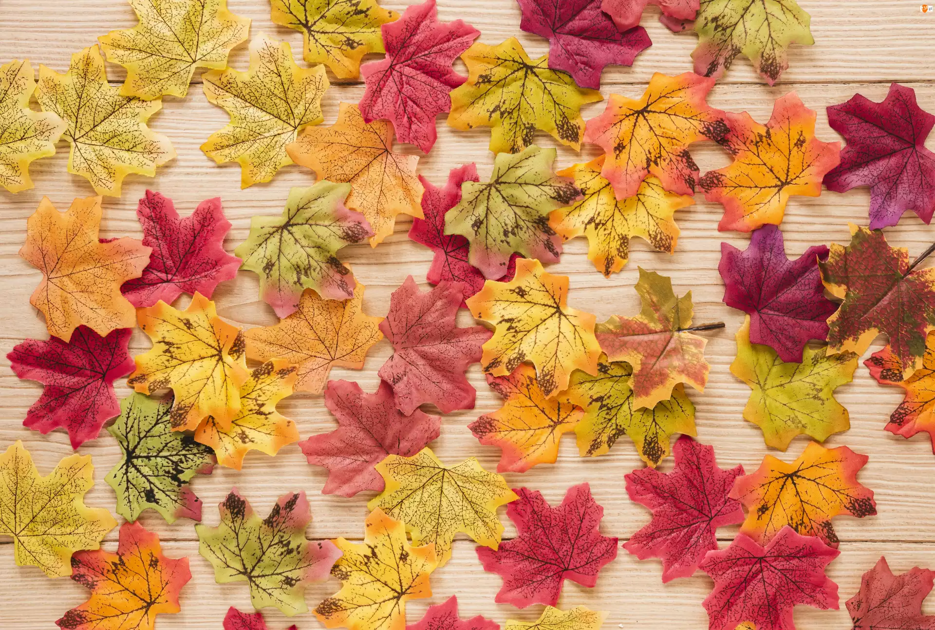 Liście, Jesień, Sztuczne, Kolorowe