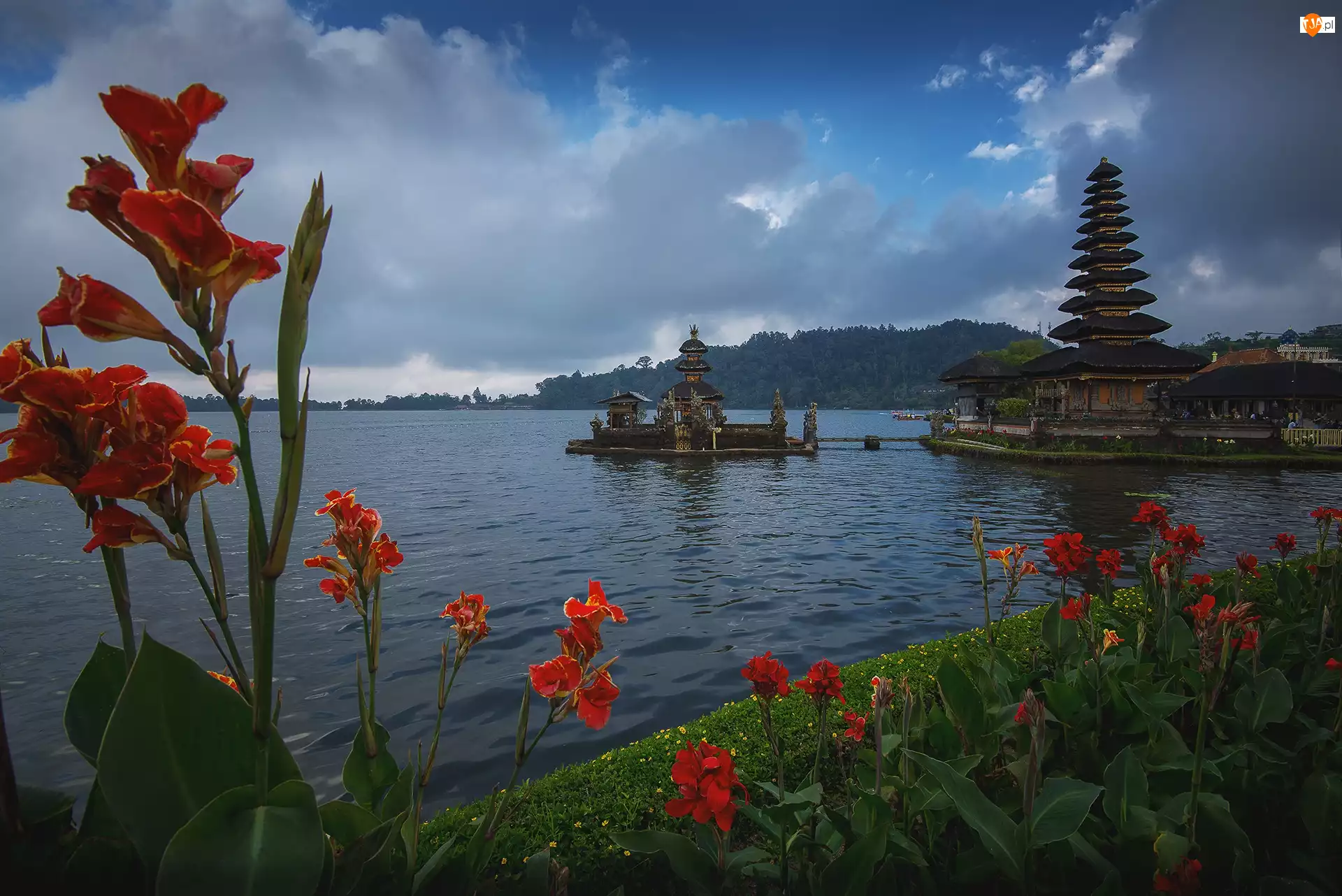Pura Ulun Danu Beratan, Jezioro Bratan, Indonezja, Świątynia, Wyspa Bali, Kwiaty, Czerwone
