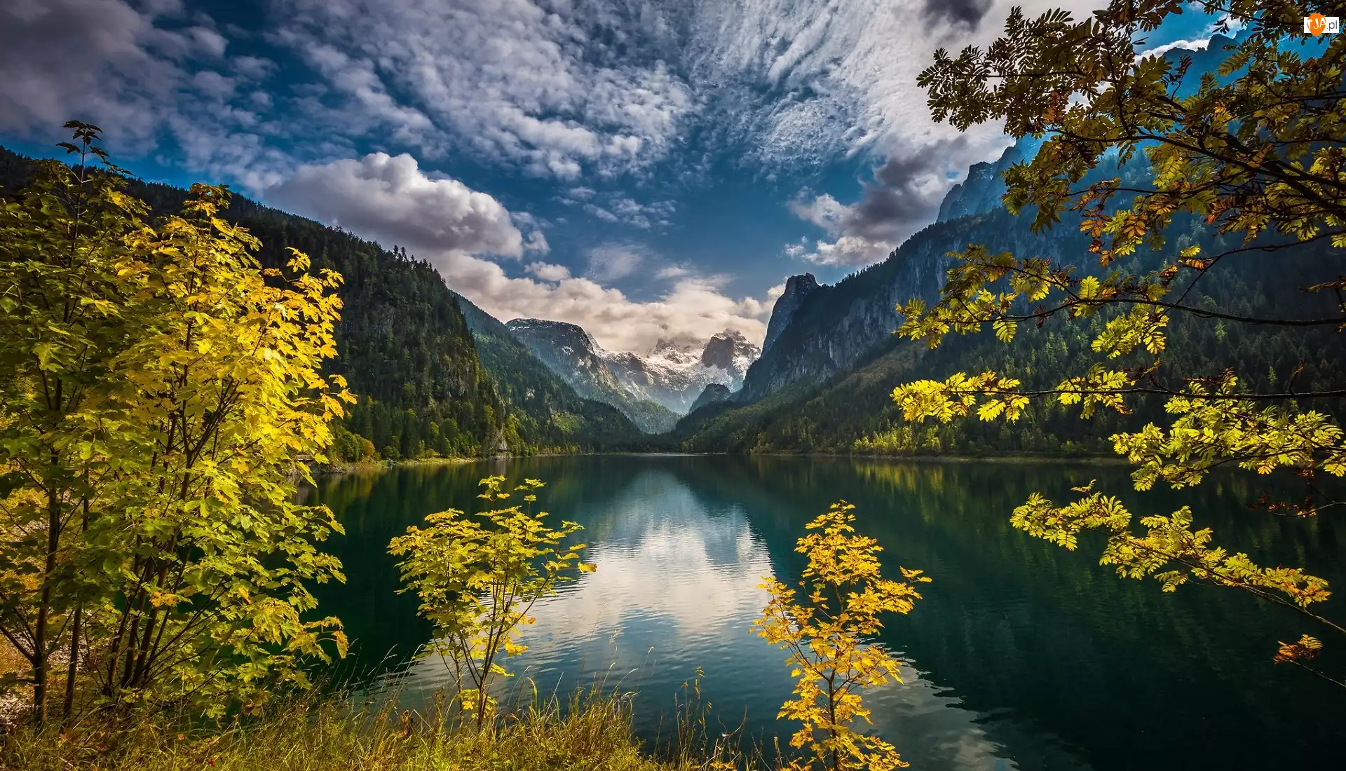Powiat Gmunden, Góry Dachstein, Lasy, Gosau, Jezioro Gosauseen, Drzewa, Austria, Chmury