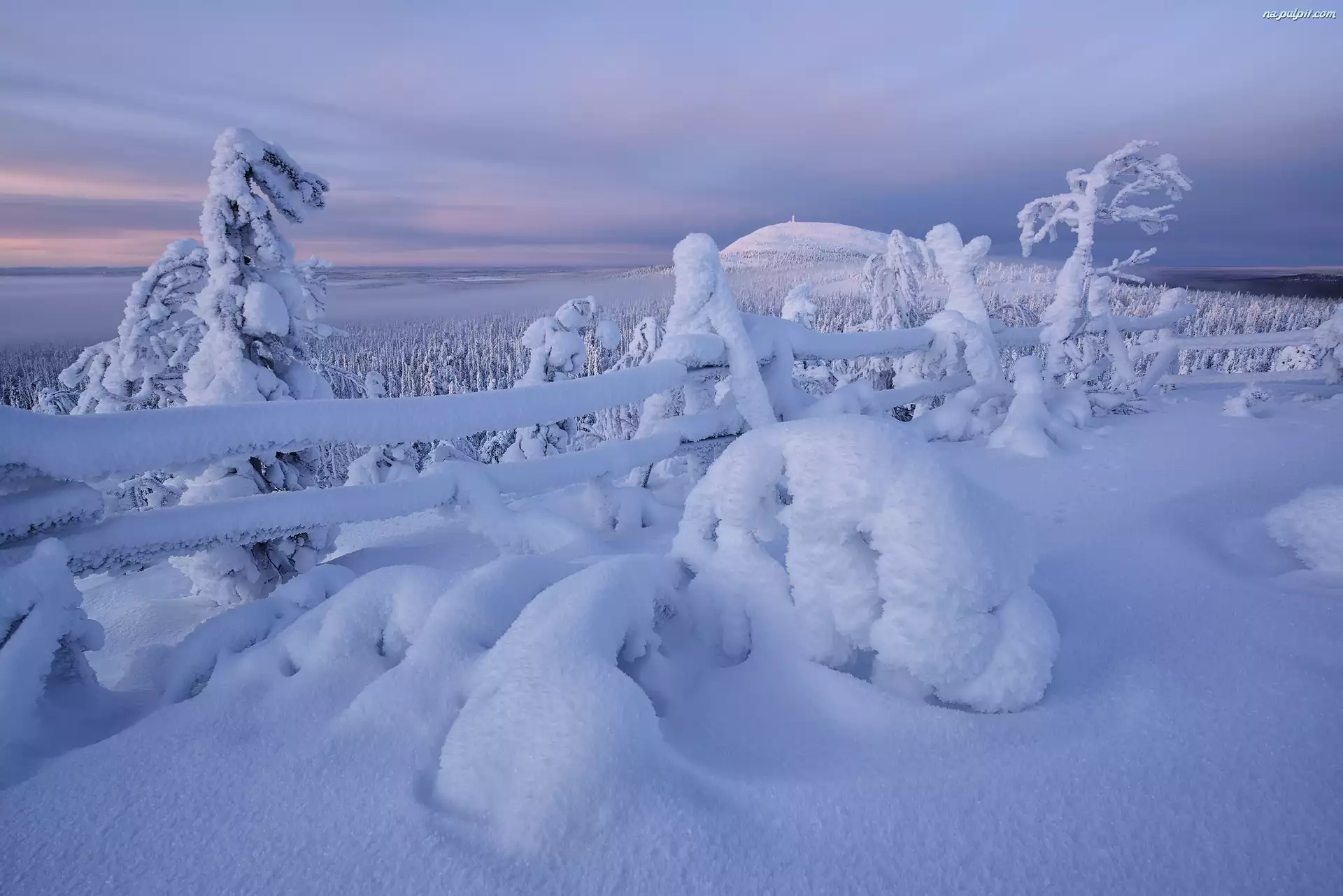 Rezerwat Valtavaara, Zima, Ogrodzenie, Laponia, Śnieg, Wzgórze, Finlandia, Drzewa
