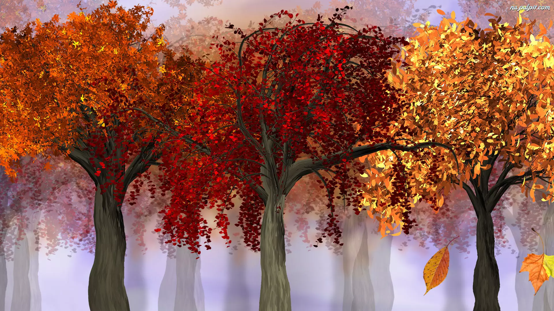 2D, Jesień, Kolorowe, Drzewa