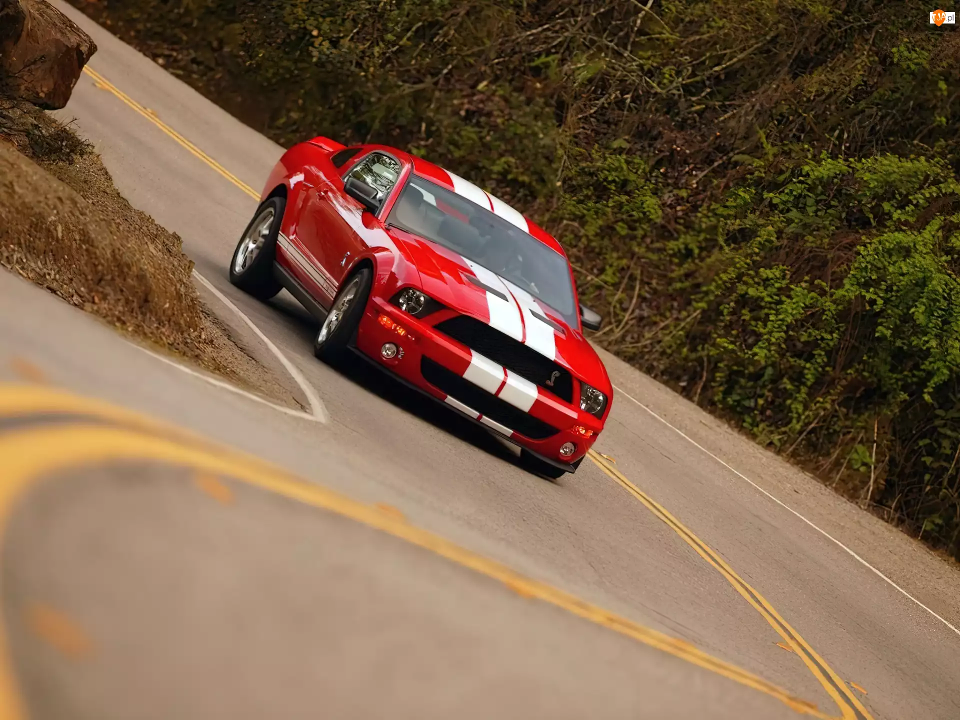 GT 500, Czerwony, Shelby, Ford Mustang