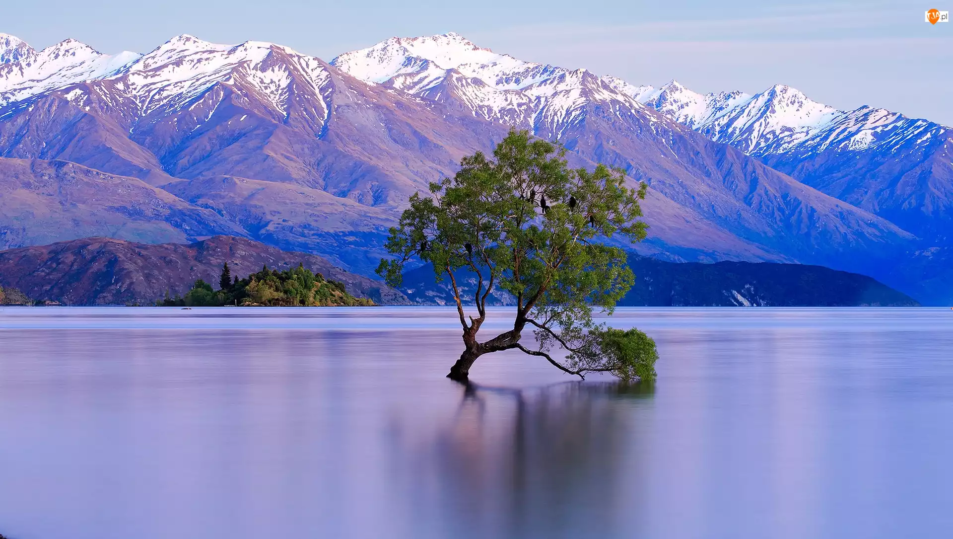Góry, Drzewo, Nowa Zelandia, Jezioro Wanaka, Śnieg