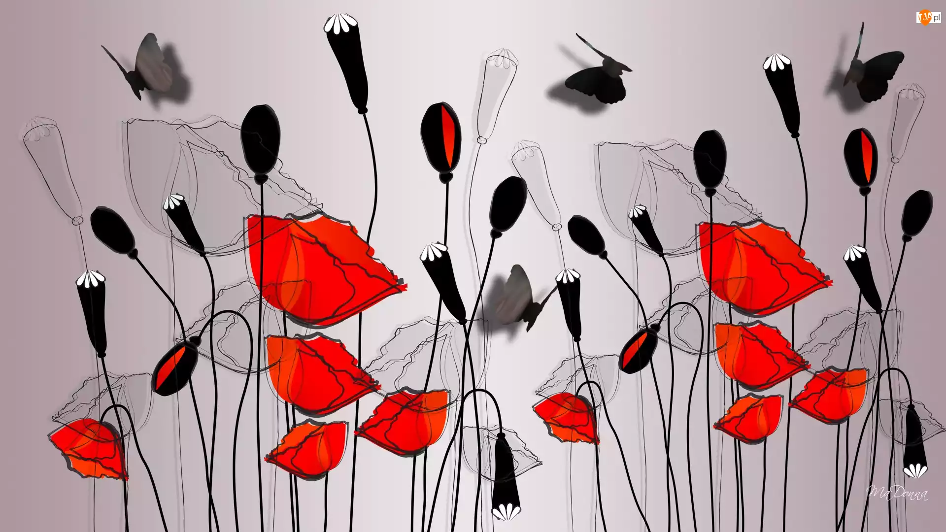 Grafika 2D, Kwiaty, Maki, Motyle