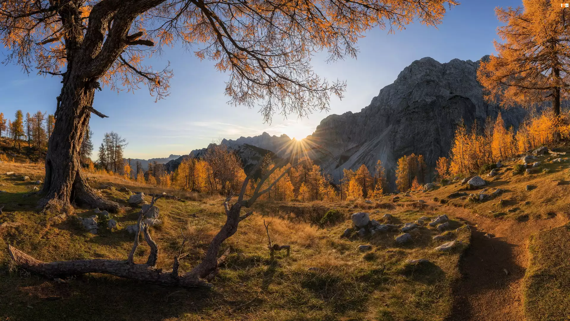 Alpy Julijskie, Szczyt Slemenova Spica, Słowenia, Góry, Ścieżka, Drzewa, Jesień