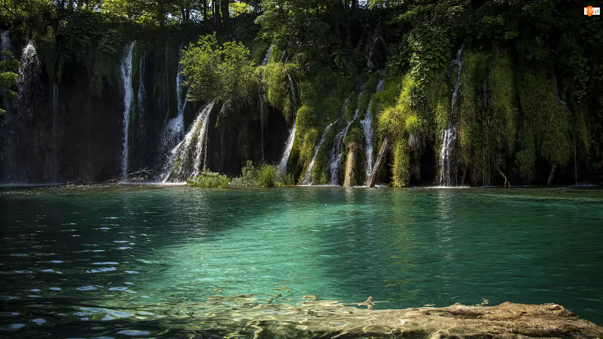 Jezioro, Chorwacja, Wodospady, Park Narodowy Jezior Plitwickich, Drzewa, Roślinność
