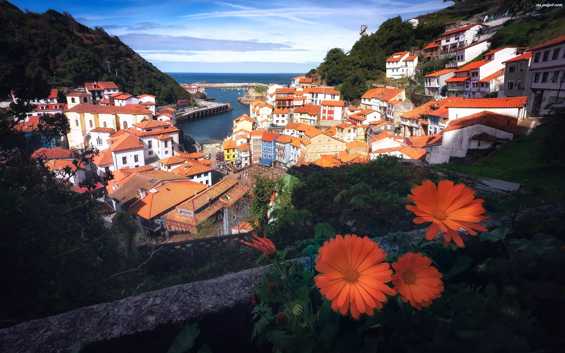 Hiszpania, Wzgórza, Asturia, Kwiaty, Cudillero, Domy, Pomarańczowe, Zalesione, Dachy