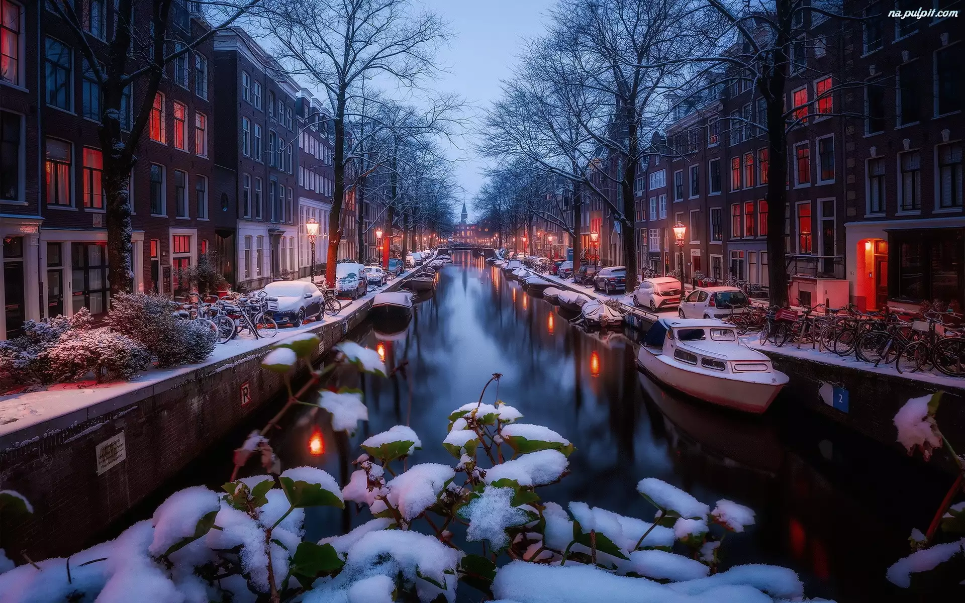 Śnieg, Zima, Domy, Holandia, Kanał, Amsterdam